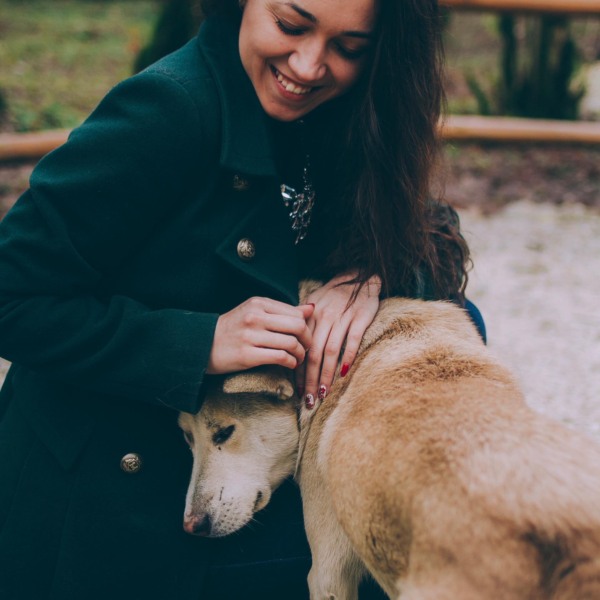 Сочи (декабрь 2017)