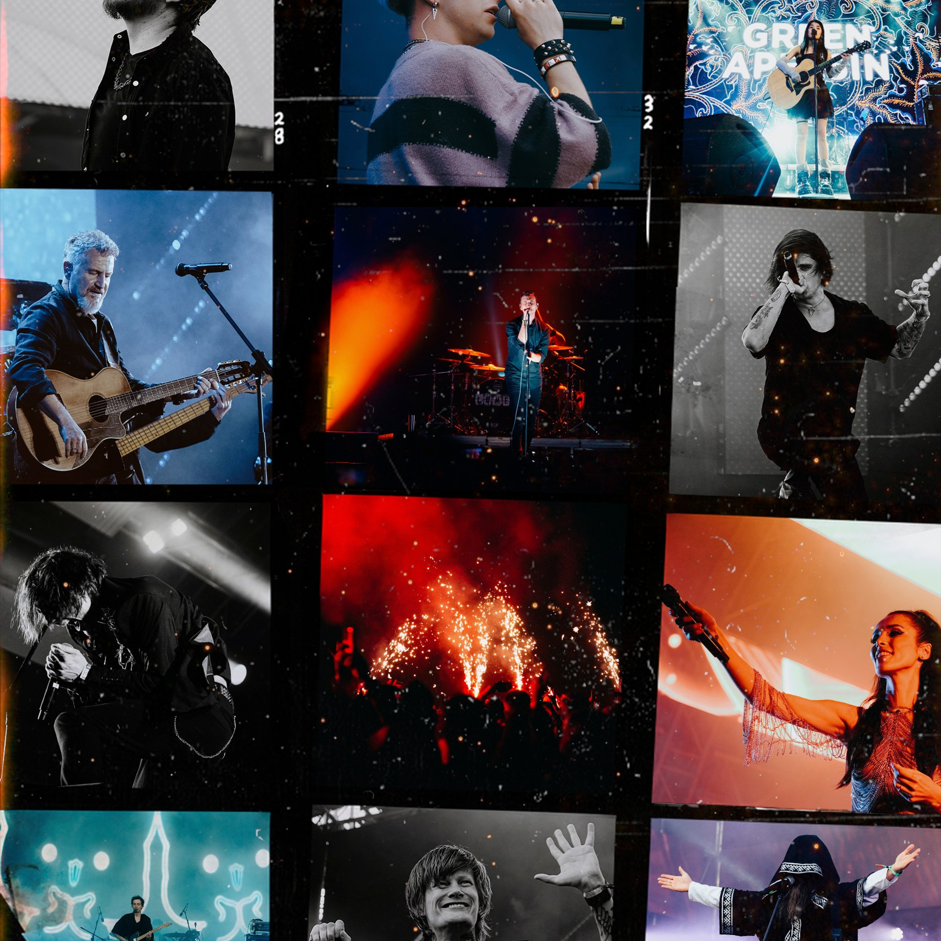 Дикая Мята `23