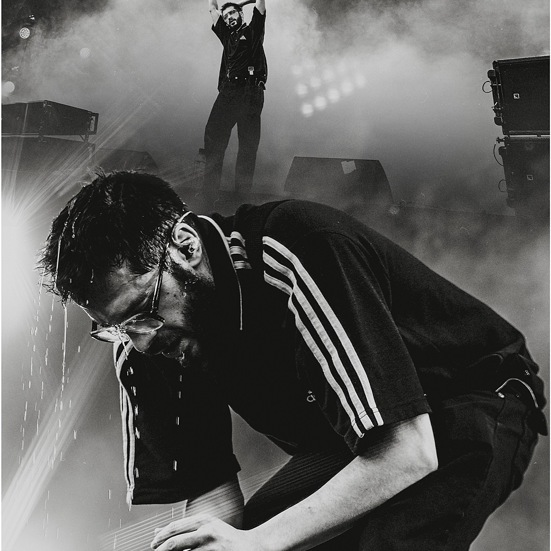 Дикая Мята `24