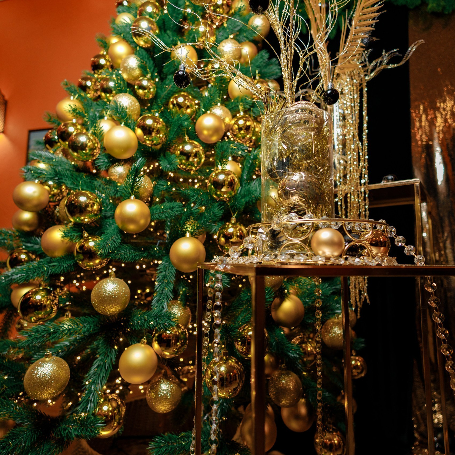 Отзывы. Волшебные фотосессии в Алматы