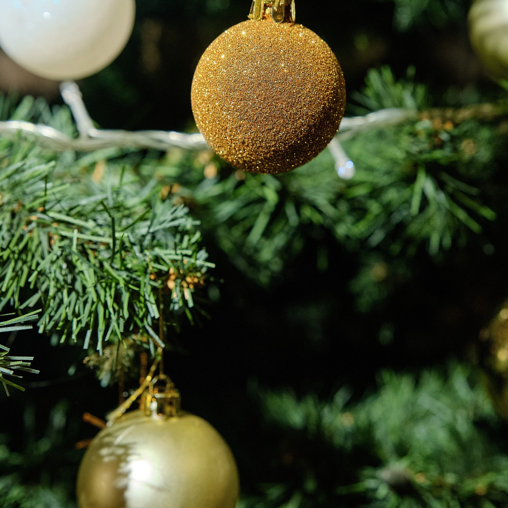 Отзывы о работе фотографа Юра Сахар. Профессиональный фотограф в Екатеринбурге Юра Сахар