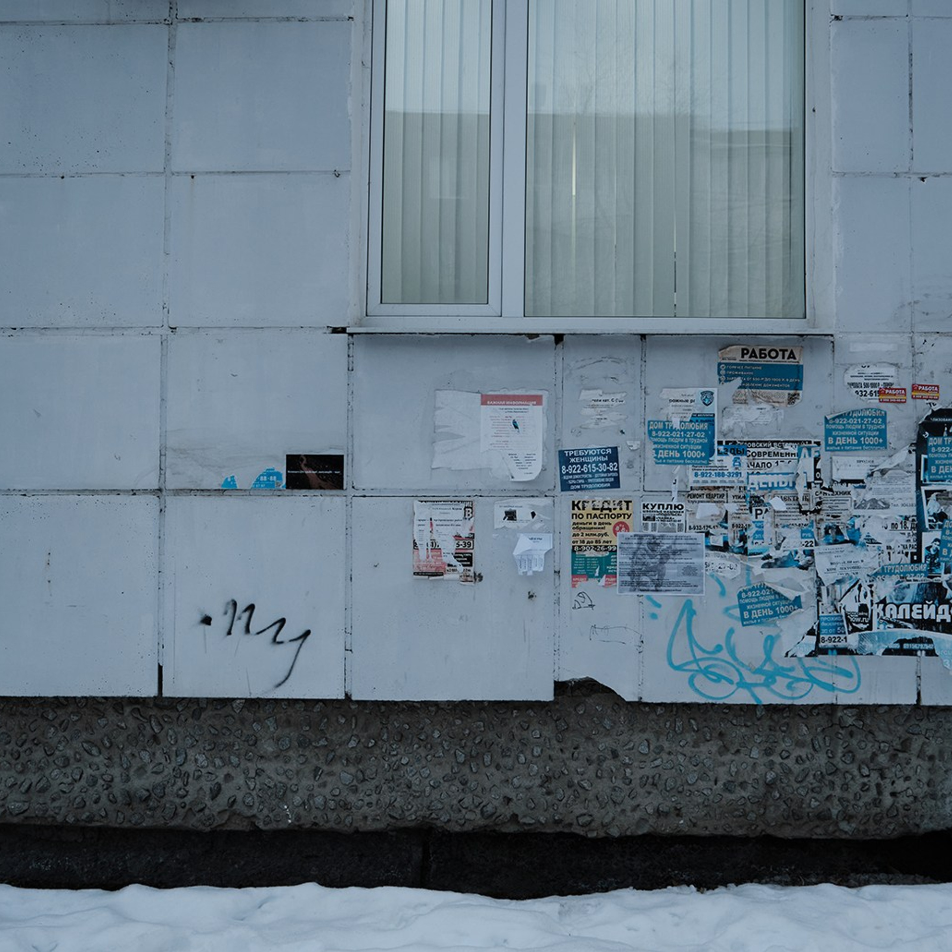 проект «манифест»