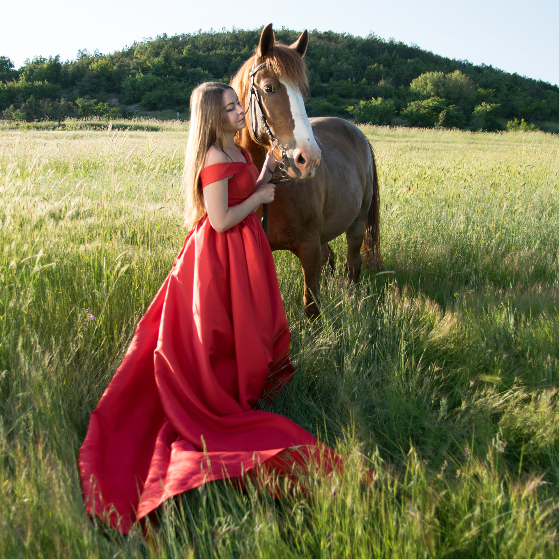 Фотосессии с лошадьми. Свадебный фотограф в Севастополе