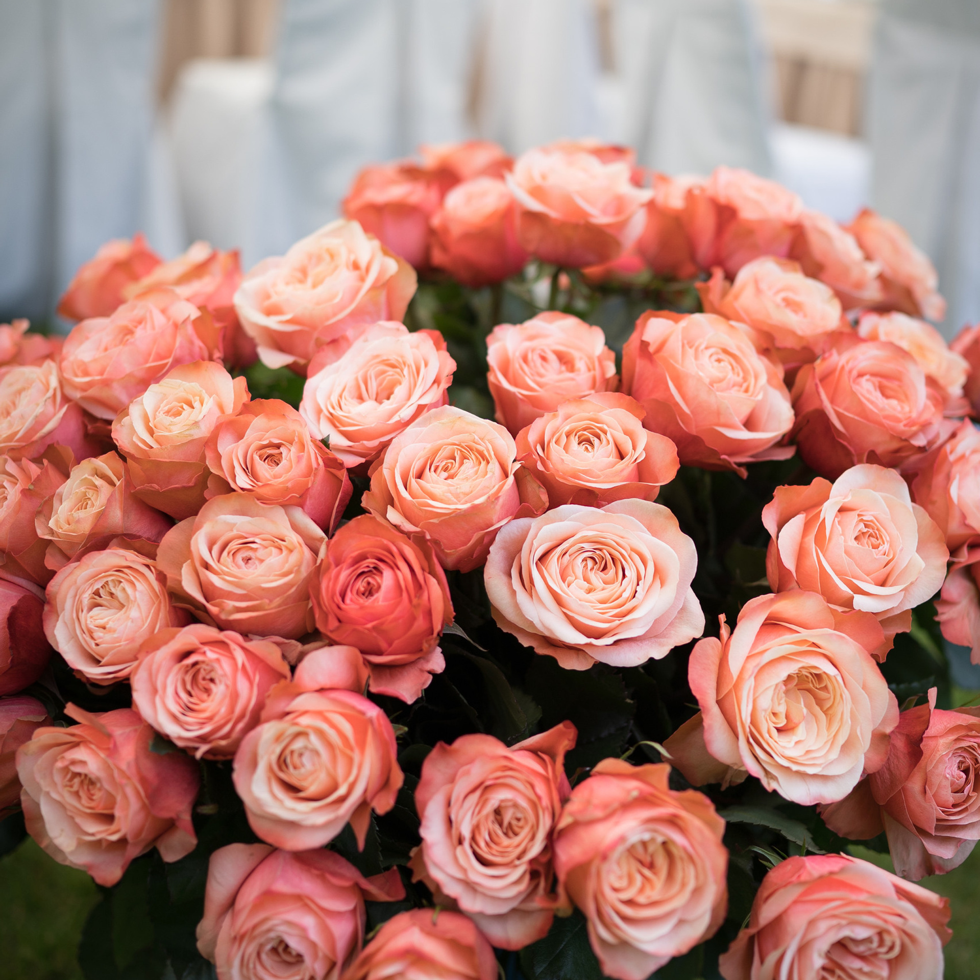 Отзывы. Профессиональный фотограф Москва Россия Граждан Олег