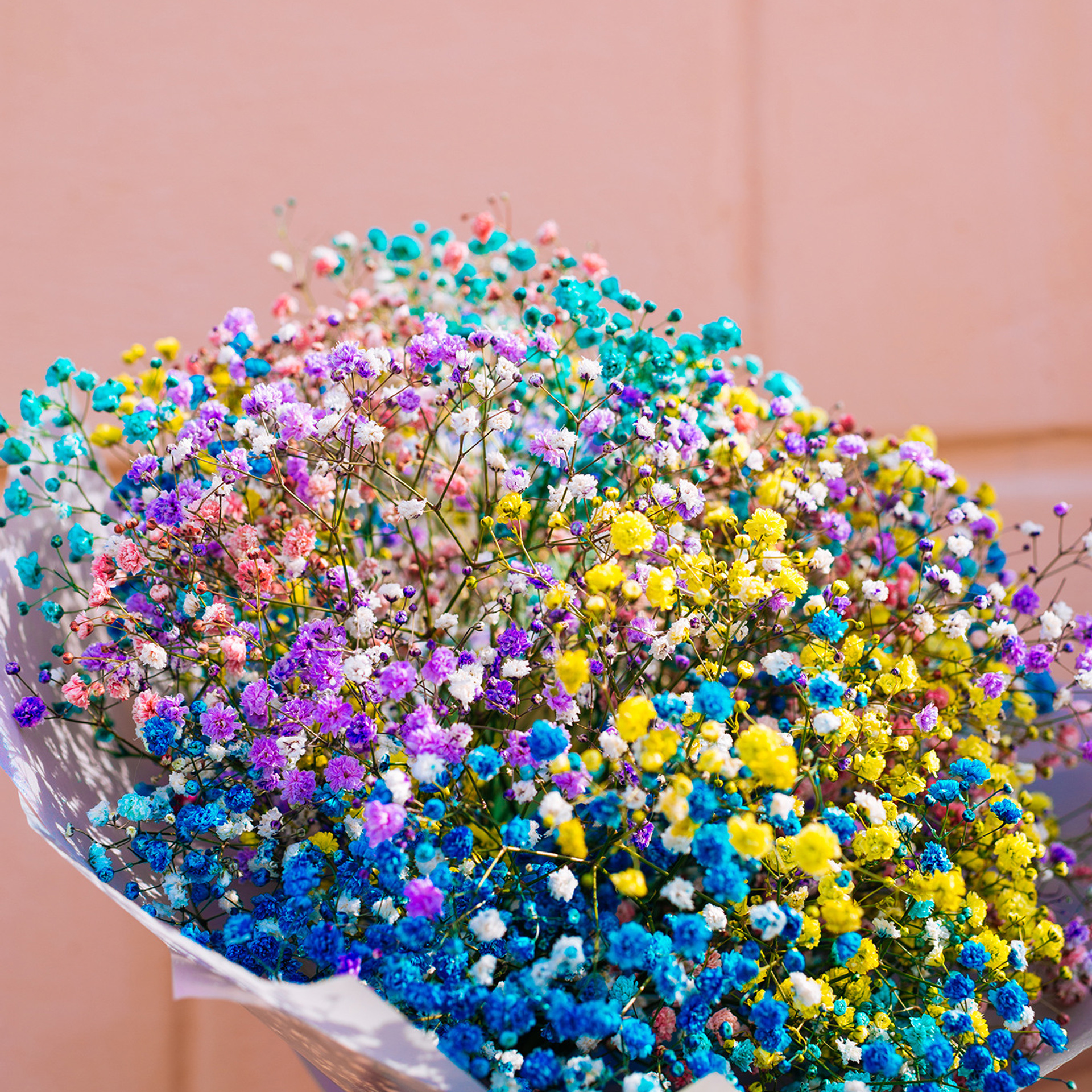 Гипсофила. Цветочный магазин