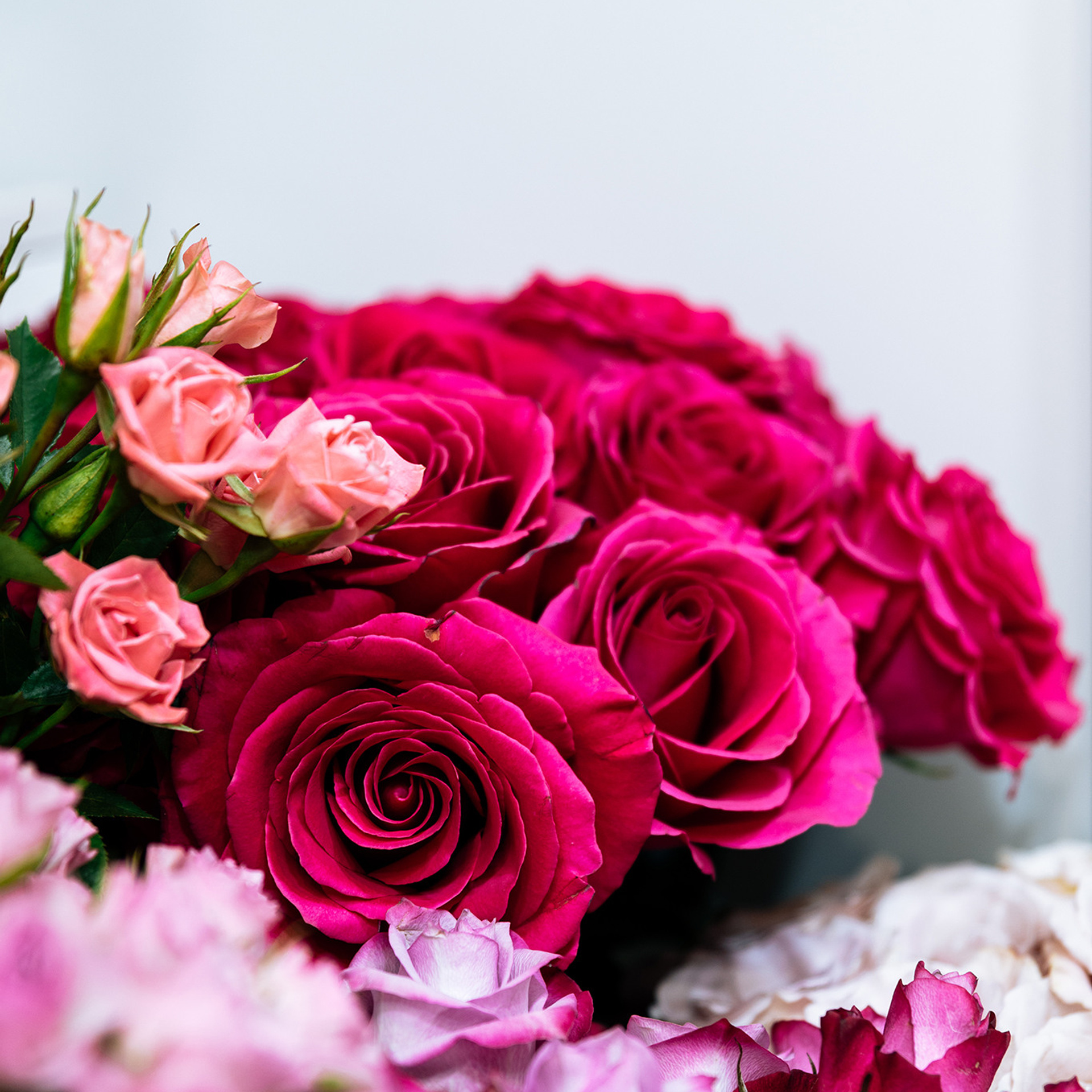 Розы. Цветочный магазин