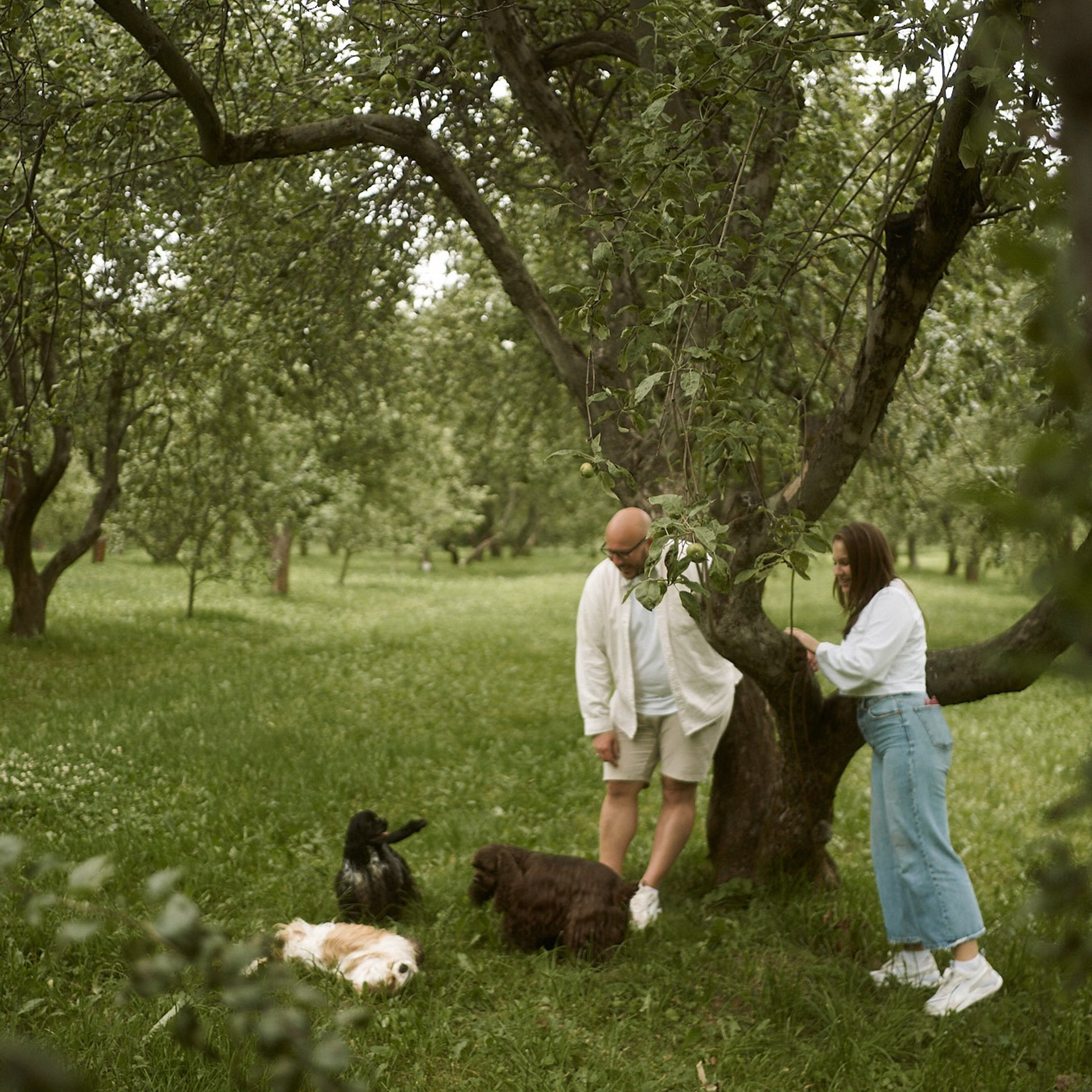 Света, Саша, Бенни, Арчи и Рави