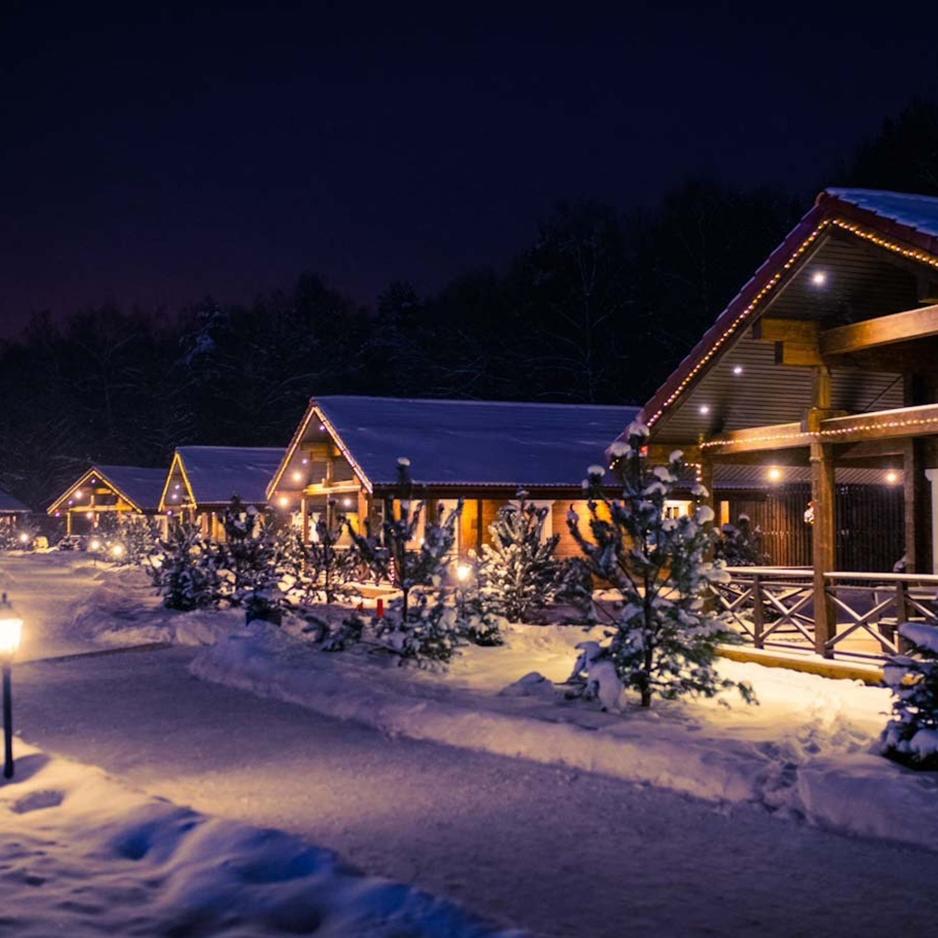 Отзывы. Фотограф Елена Рогашкова