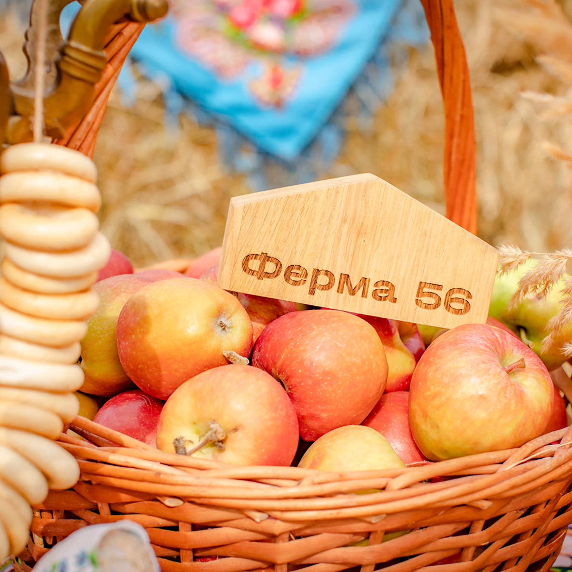 Отзывы. Фотограф Наталья Штукина