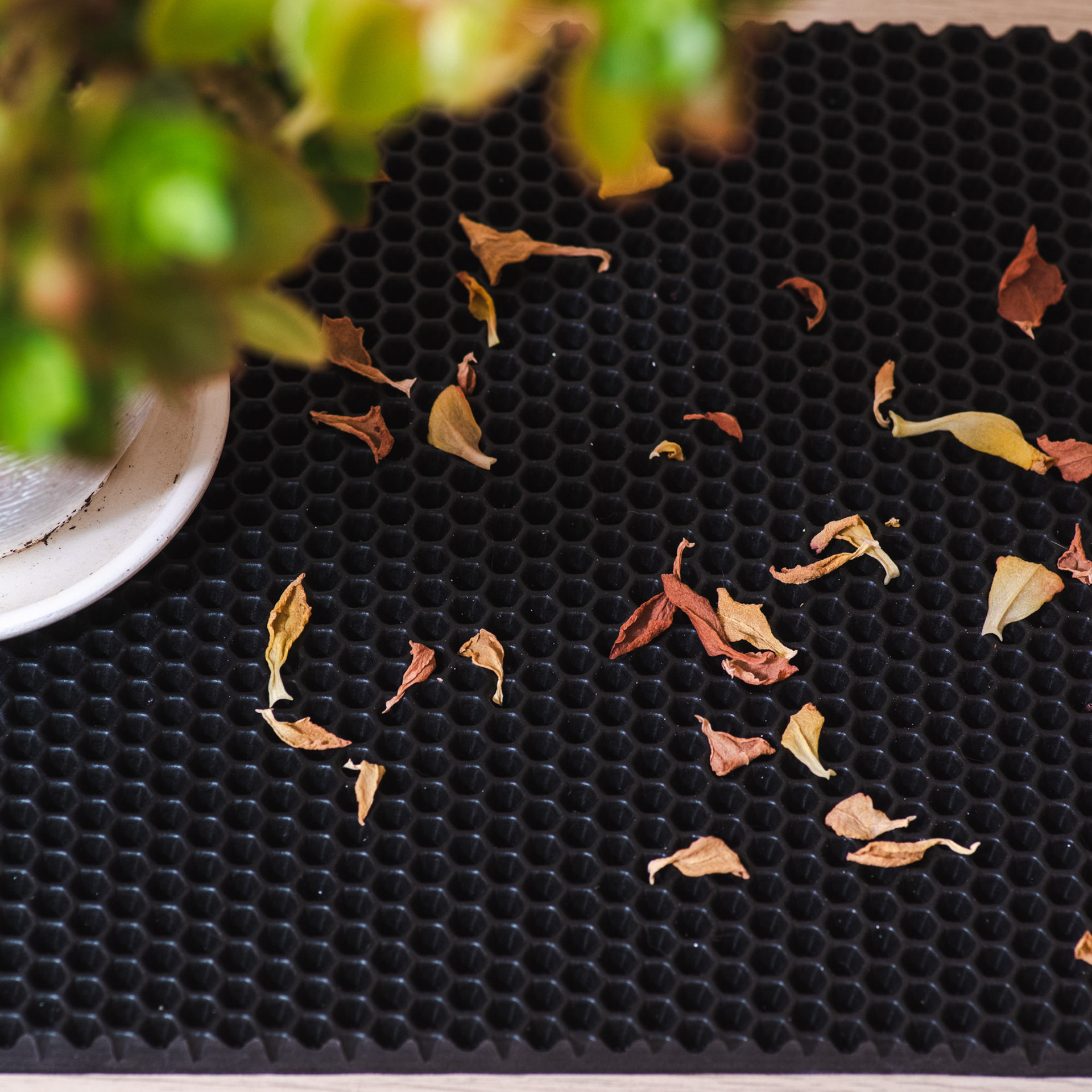 Отзывы. Интерьерный и репортажный фотограф в Санкт-Петербурге