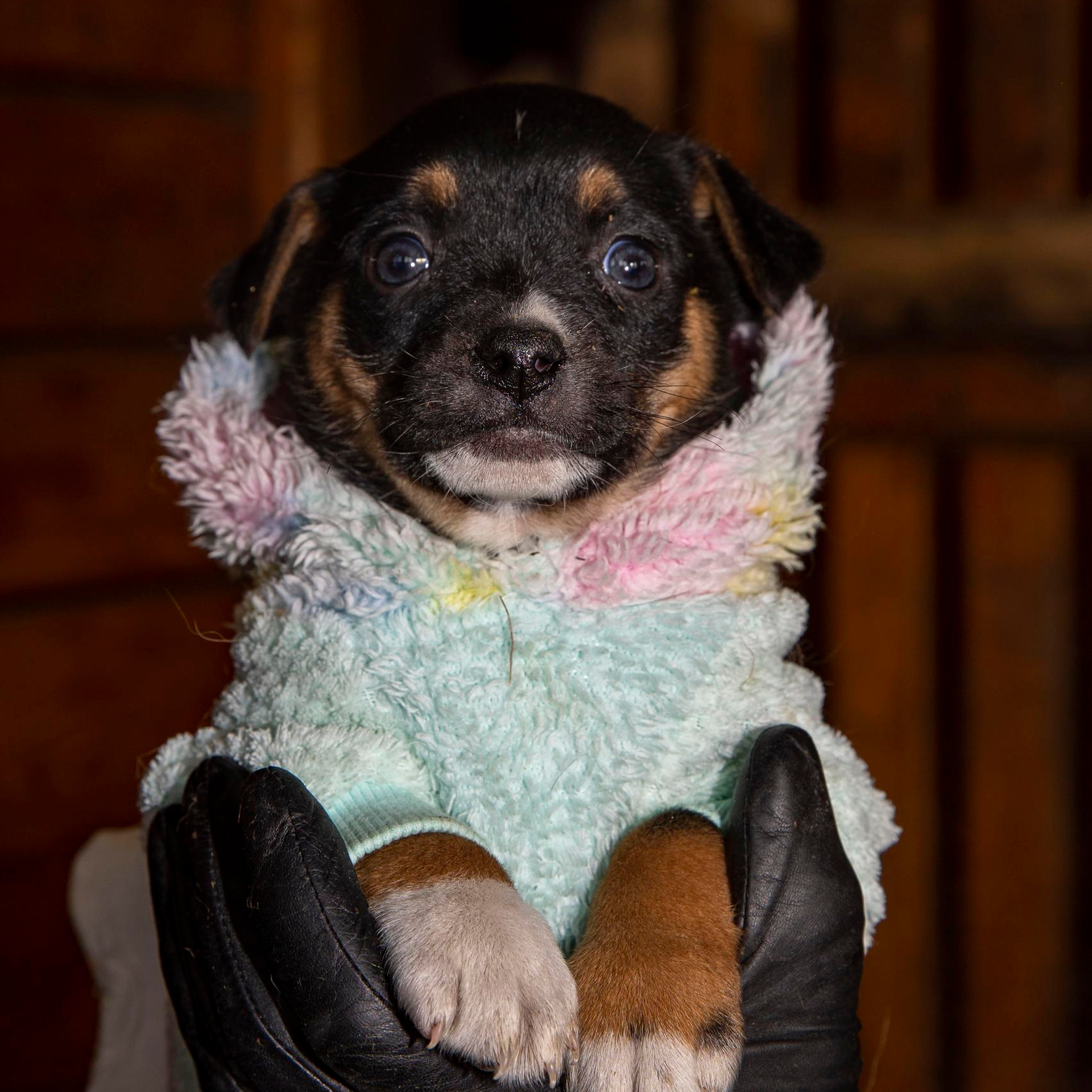 Отзывы. Фотограф 📸 семейный, предметный, репортажный