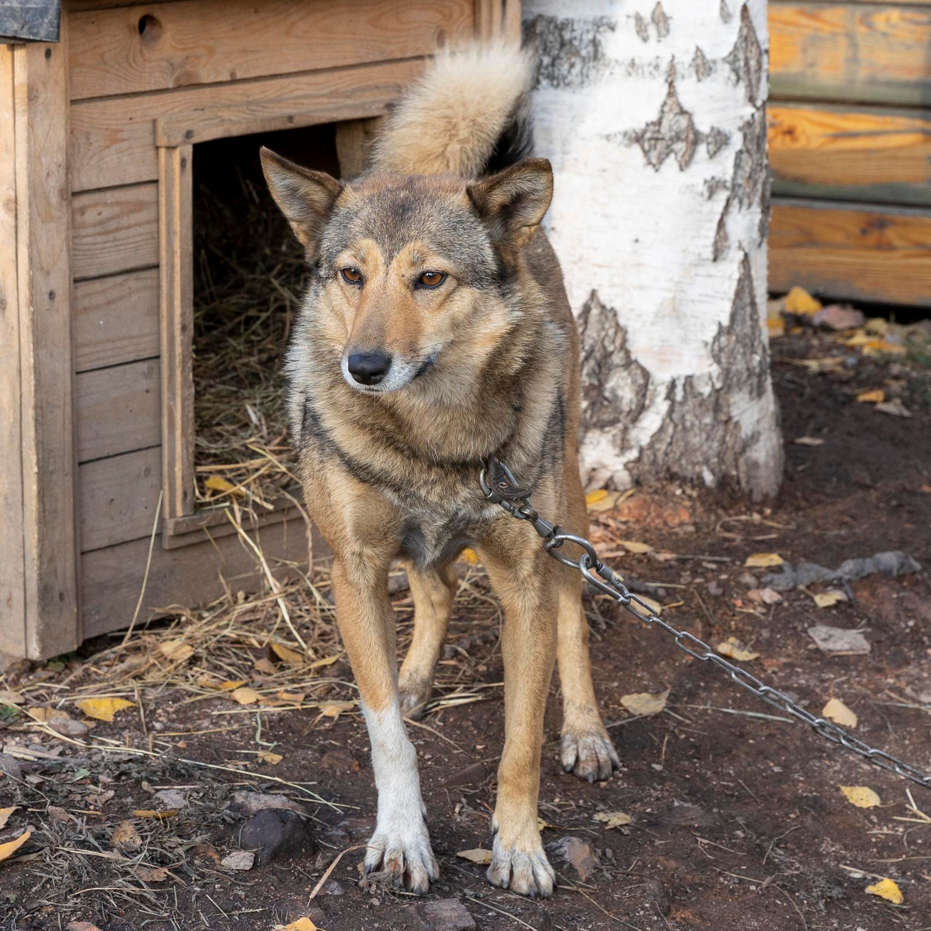 Отзывы. Фотограф 📸 семейный, предметный, репортажный