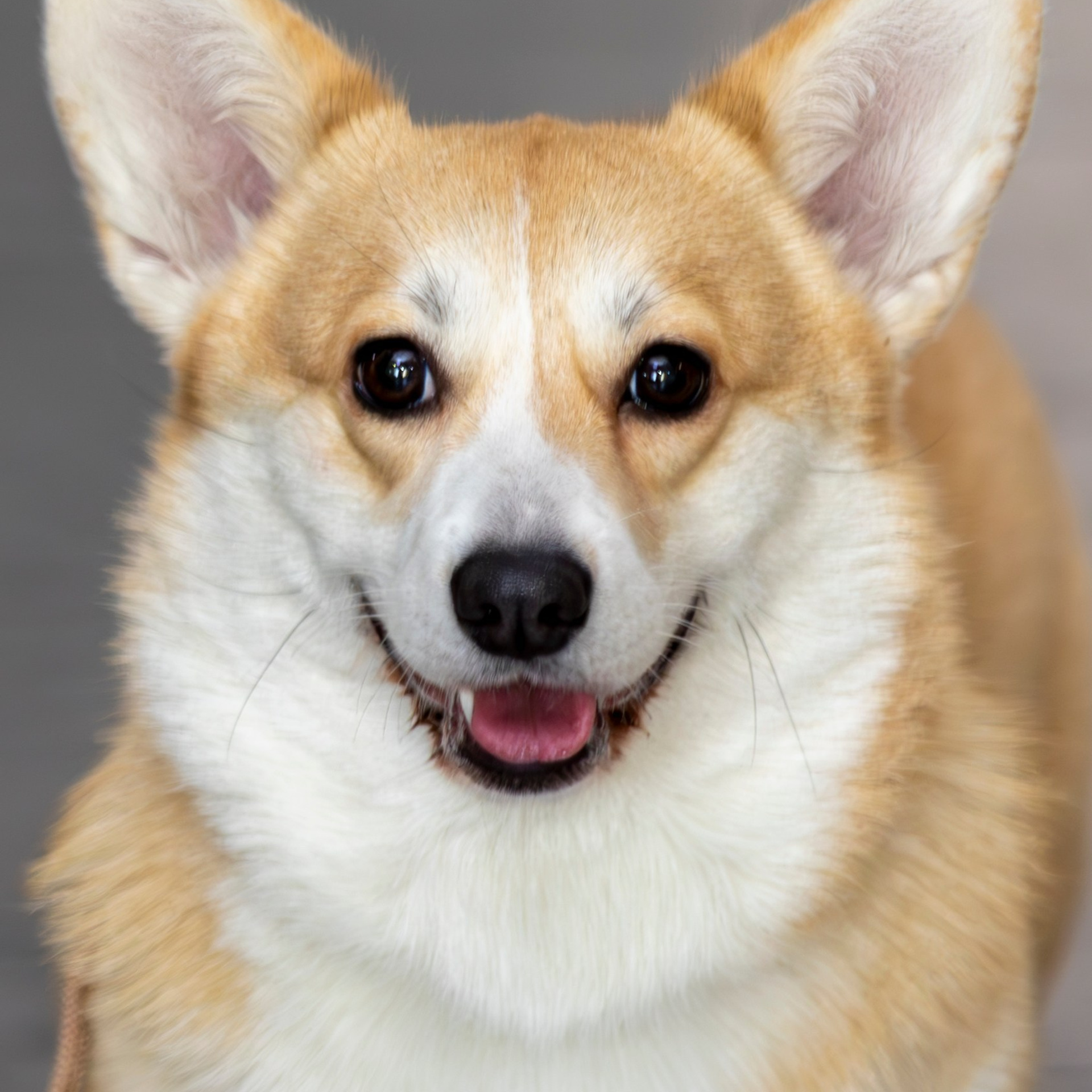 Отзывы. Фотограф 📸 семейный, предметный, репортажный