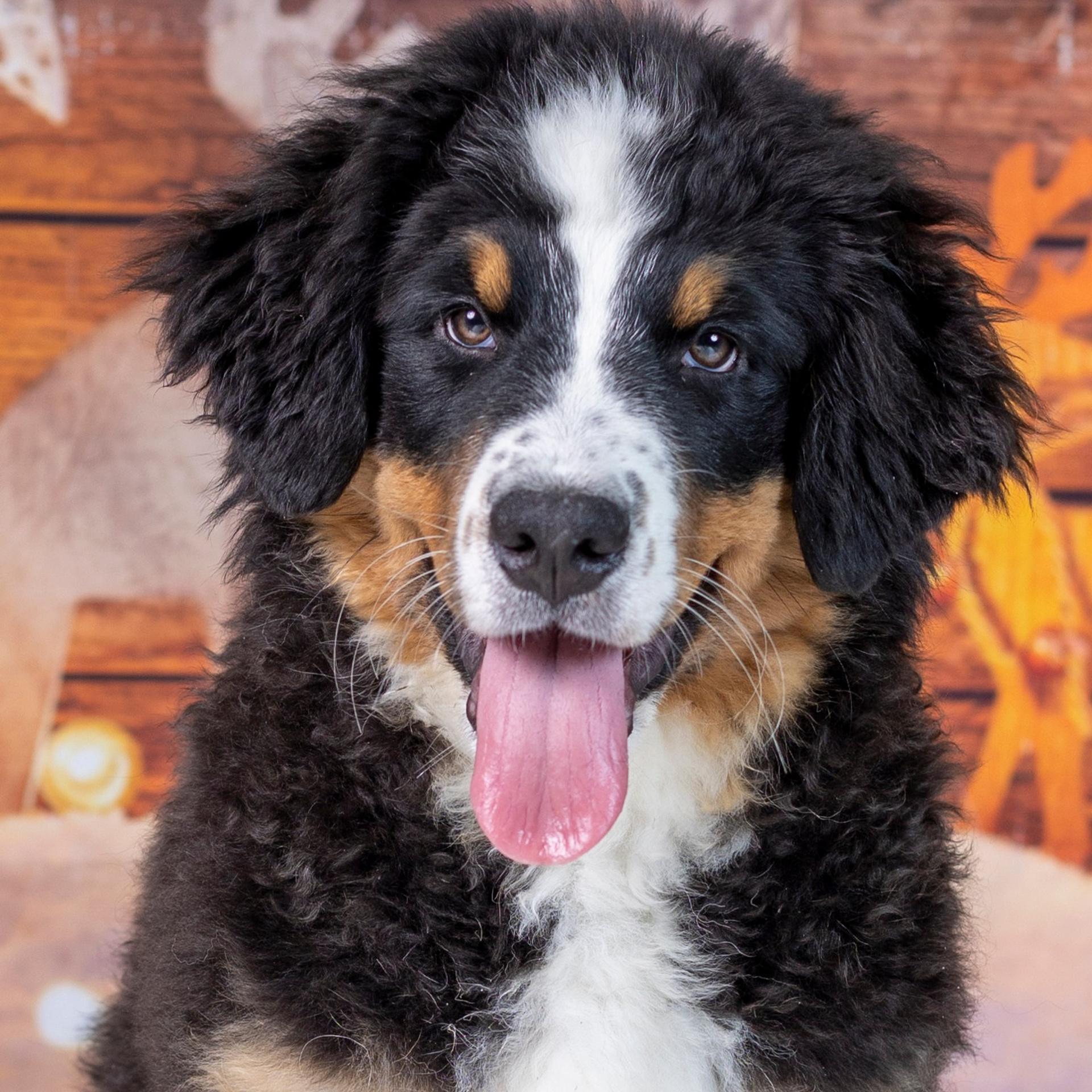 Новогодние