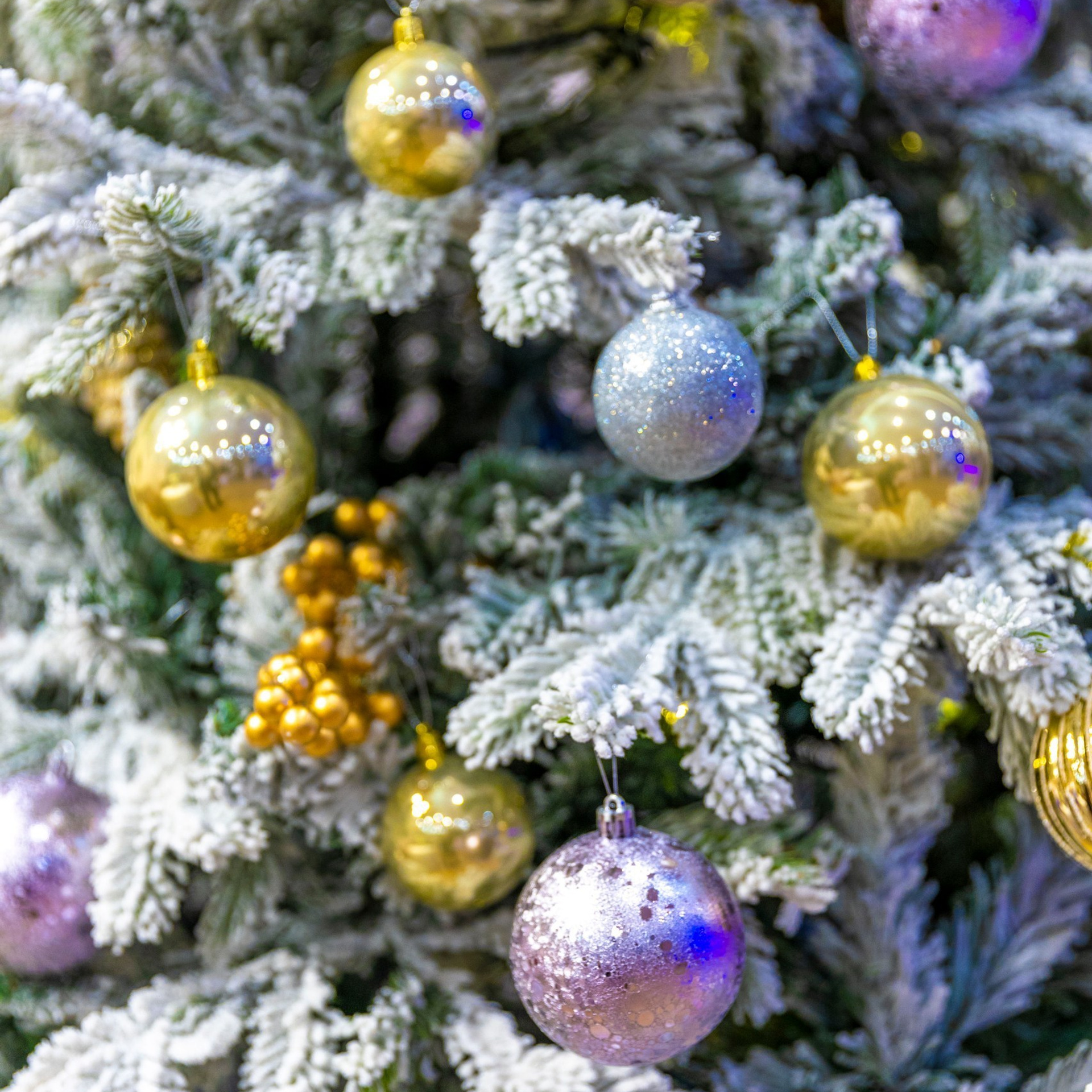 Отзывы. Фотограф 📸 семейный, предметный, репортажный