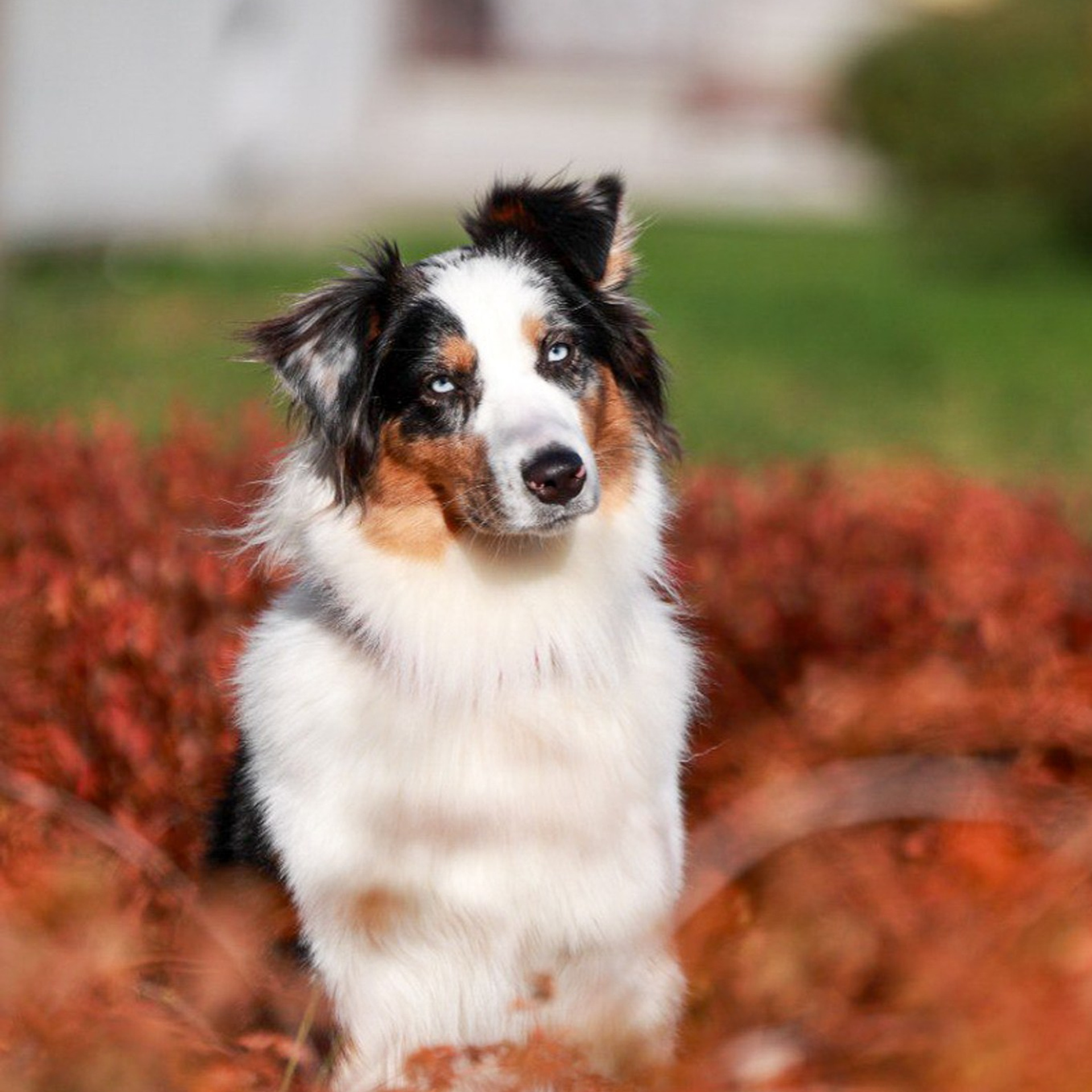 Настя и&nbsp;лилит!