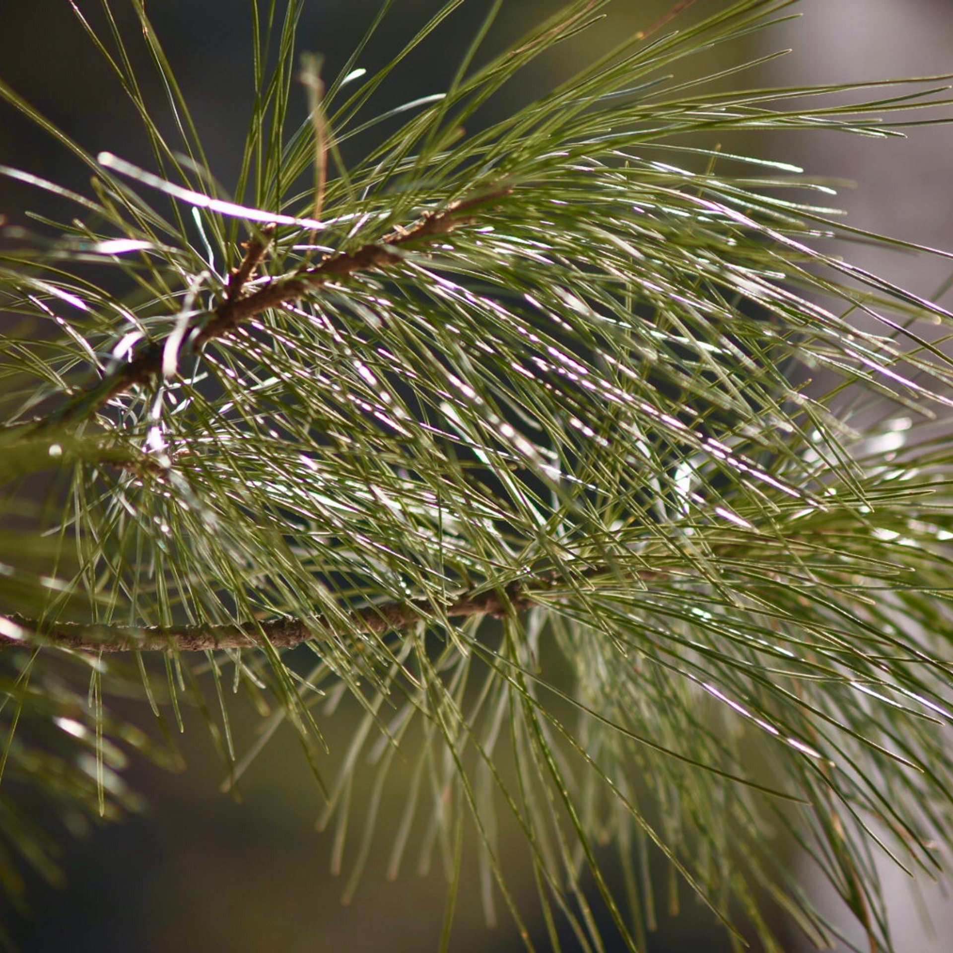 Отзывы. Фотограф 📸 семейный, предметный, репортажный