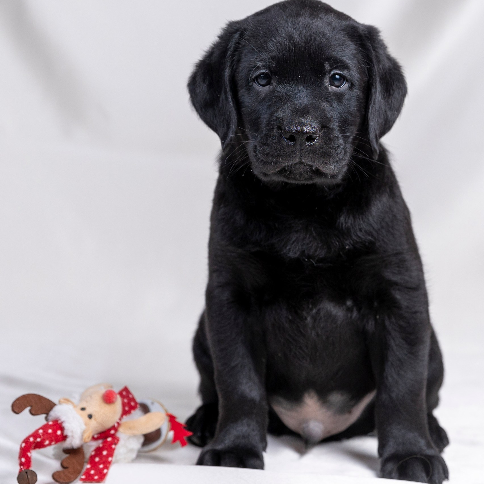 Отзывы. Фотограф 📸 семейный, предметный, репортажный