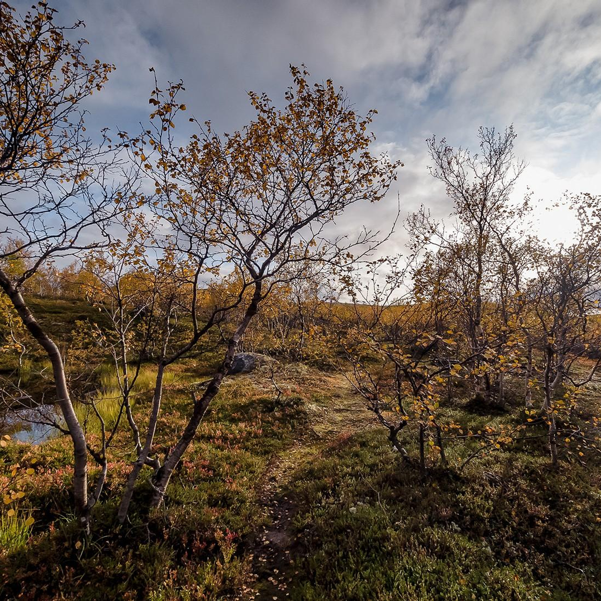 Съемка в путешествиях, туризм, блог. Контент съемка под ключ. Световое шоу / Москва и Мо