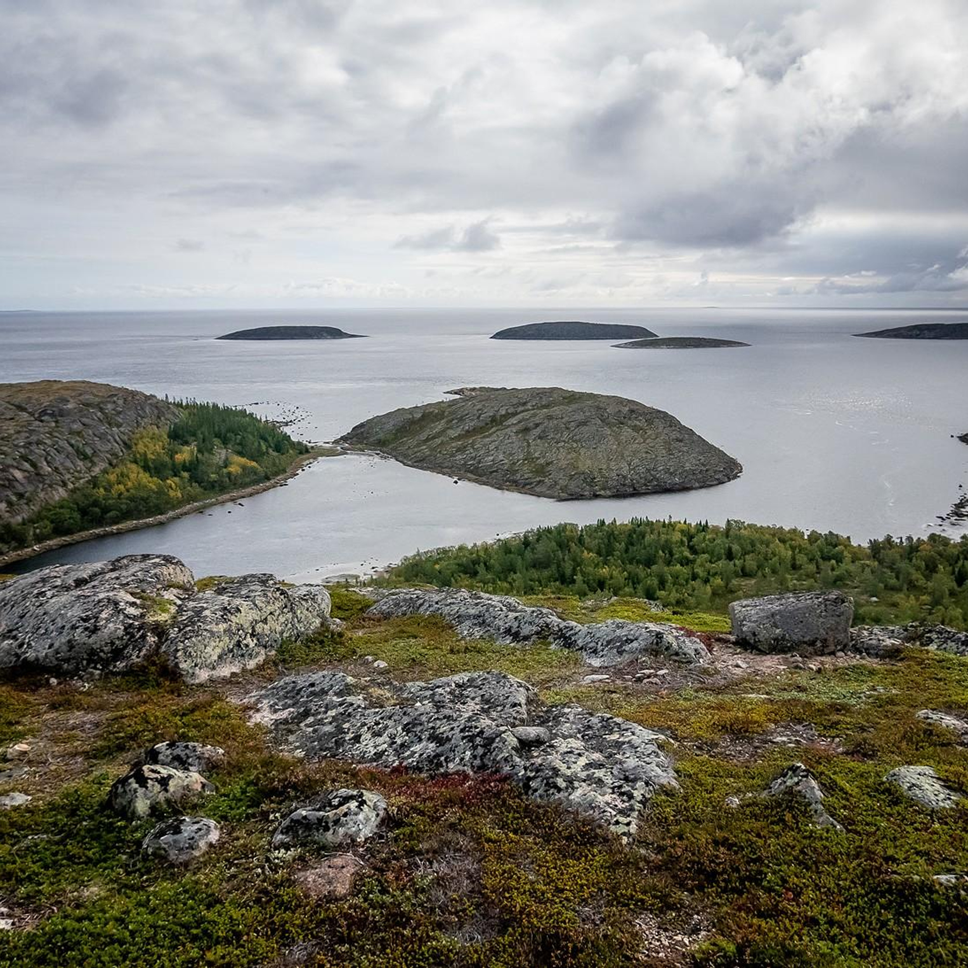 Съемка с квадрокоптера. Контент съемка под ключ. Световое шоу / Москва и Мо
