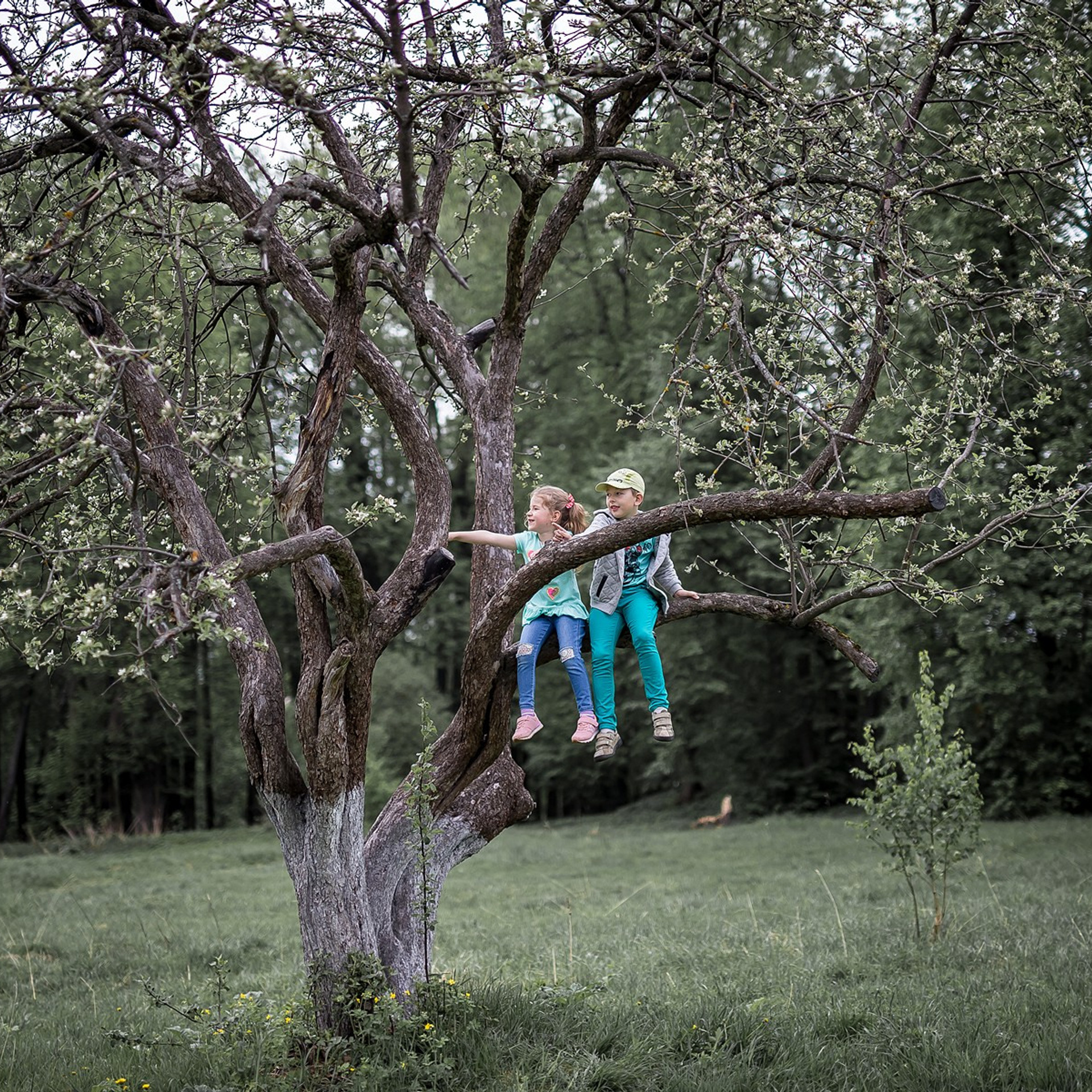 Съемка семьи. Контент съемка под ключ. Световое шоу / Москва и Мо