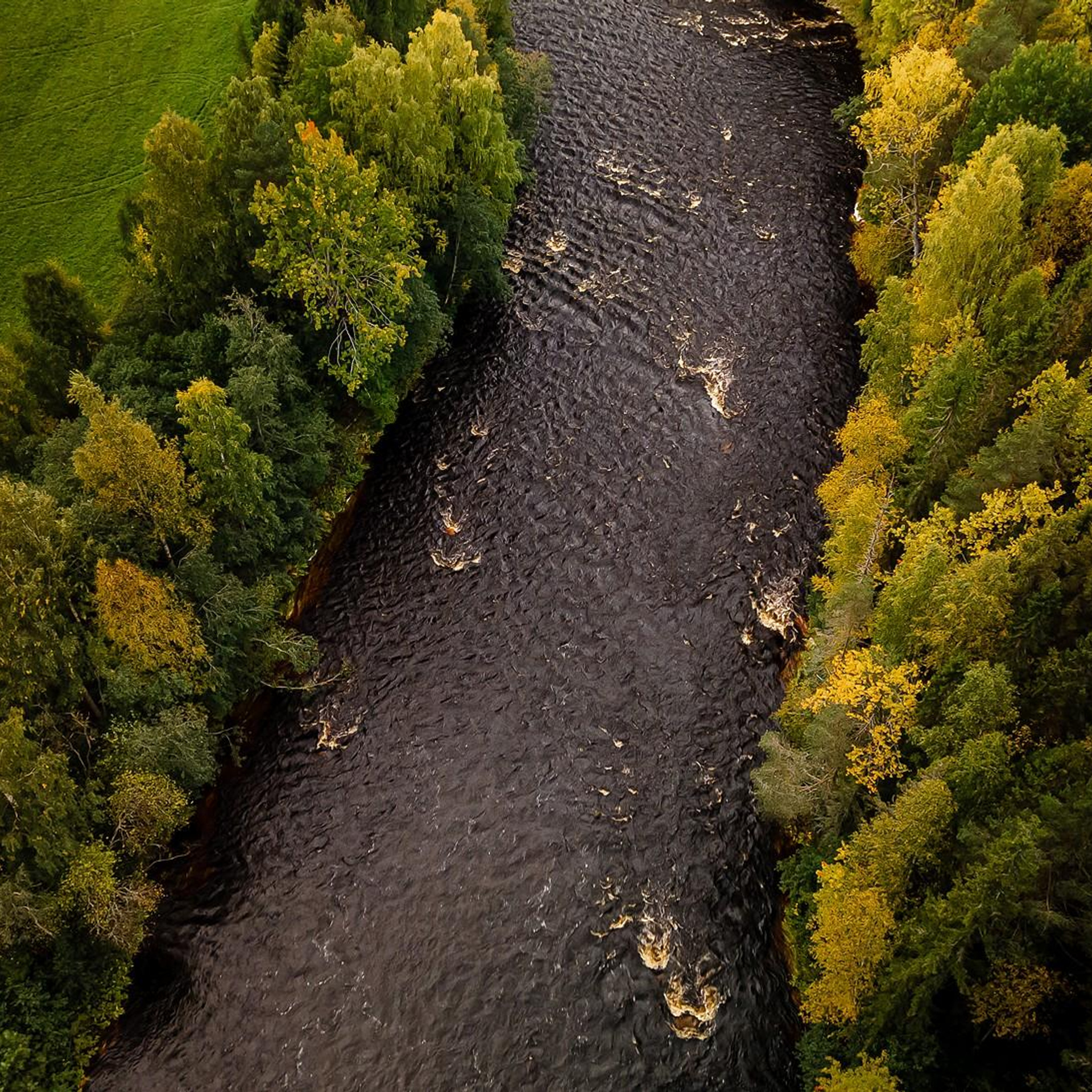 Съемка с квадрокоптера. Контент съемка под ключ. Световое шоу / Москва и Мо