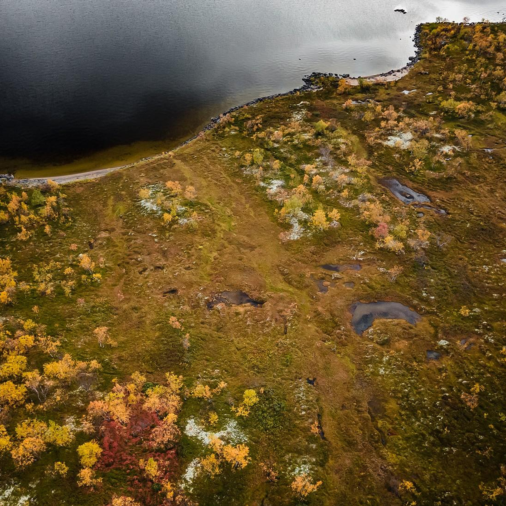 Съемка с квадрокоптера. Контент съемка под ключ. Световое шоу / Москва и Мо
