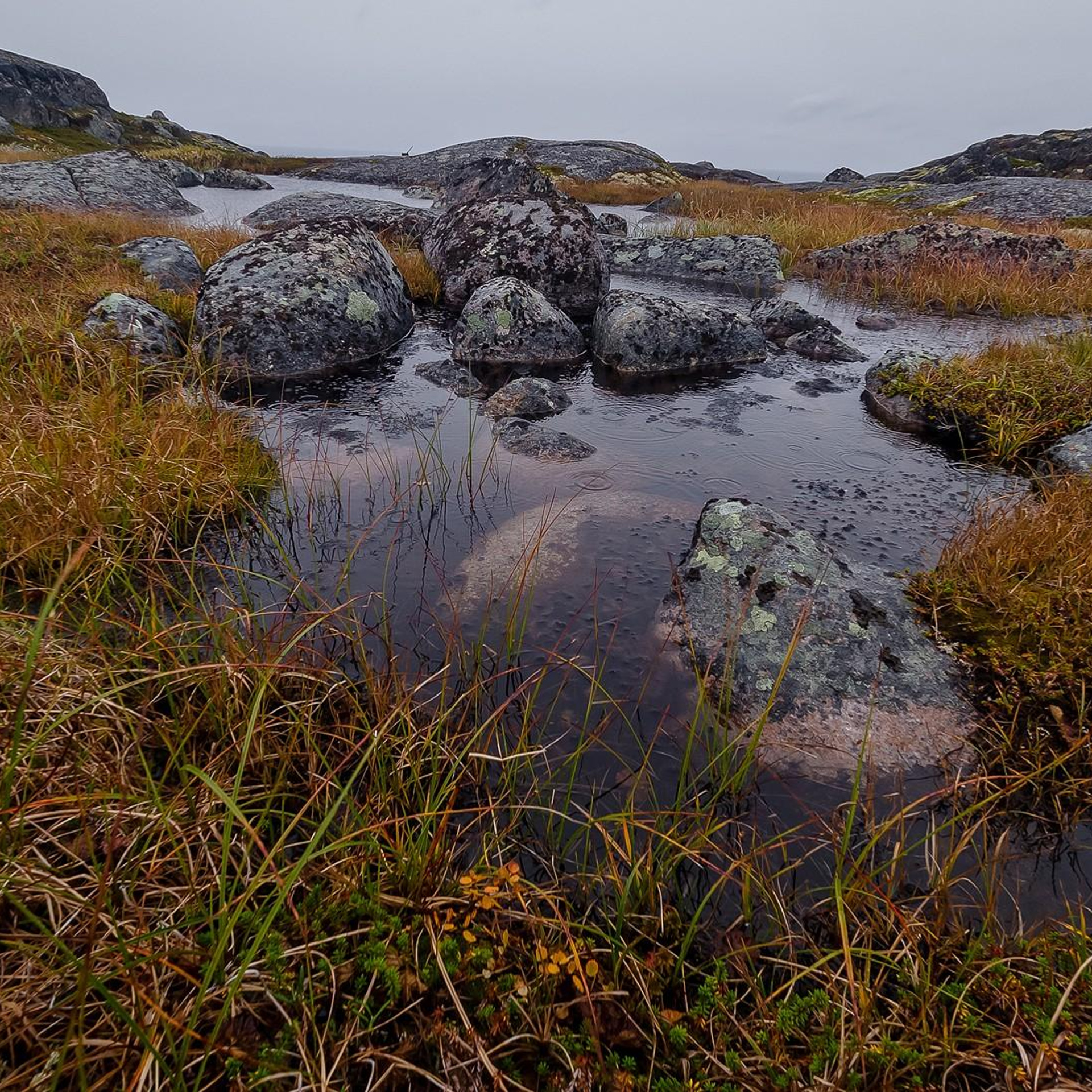 Съемка в путешествиях, туризм, блог. Контент съемка под ключ. Световое шоу / Москва и Мо