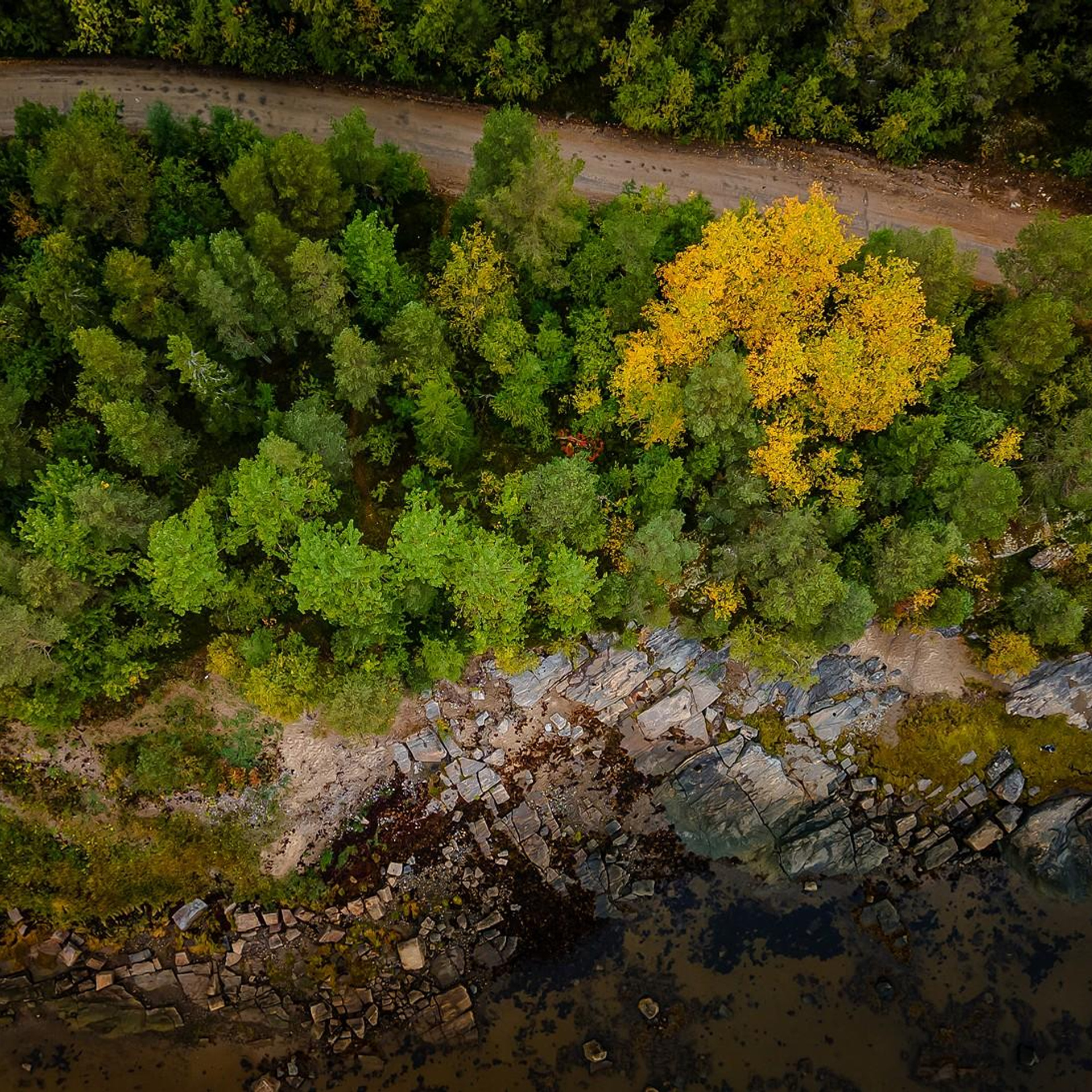 Съемка с квадрокоптера. Контент съемка под ключ. Световое шоу / Москва и Мо
