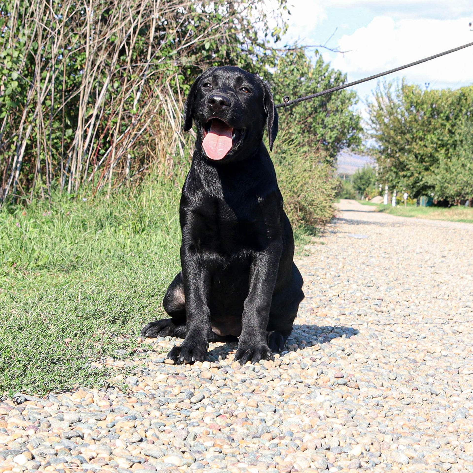 Отзывы. Alexsaphoto.ru