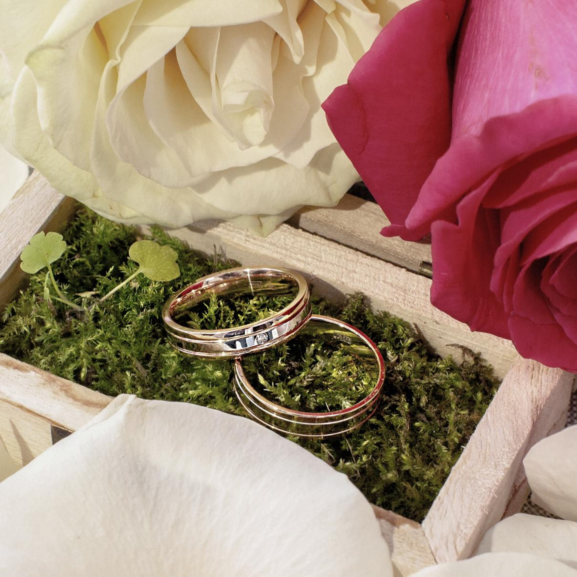 Евгений и Яна. ФотоВидеоСъемка свадеб и мероприятий