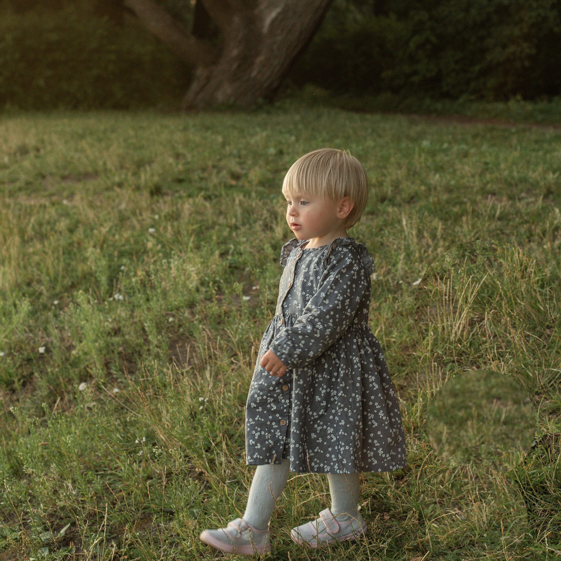 Отзывы. Семейный свадебный интерьерный фотограф Тверь Санкт- Марина Свистунова