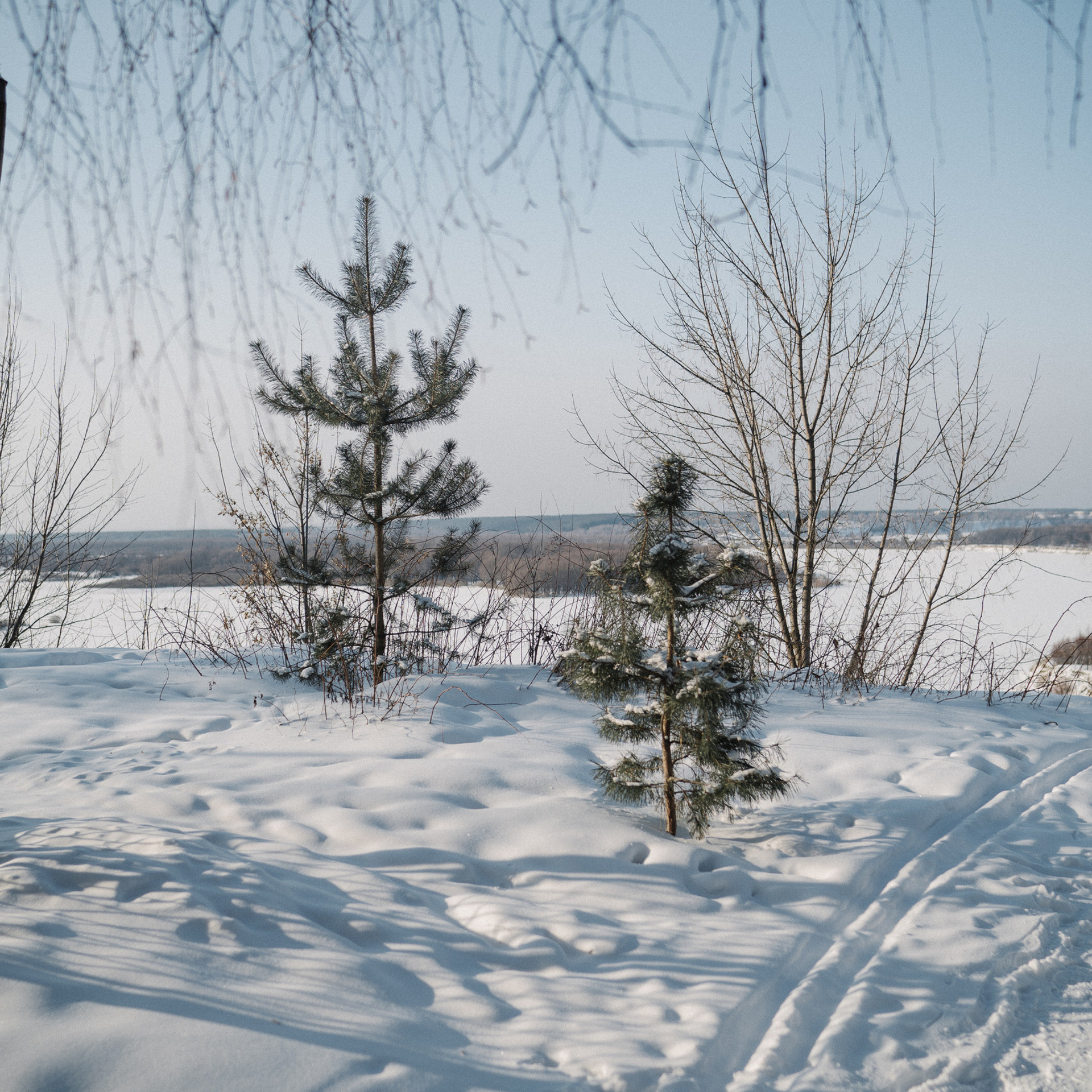 Отзывы. Искренний фотограф