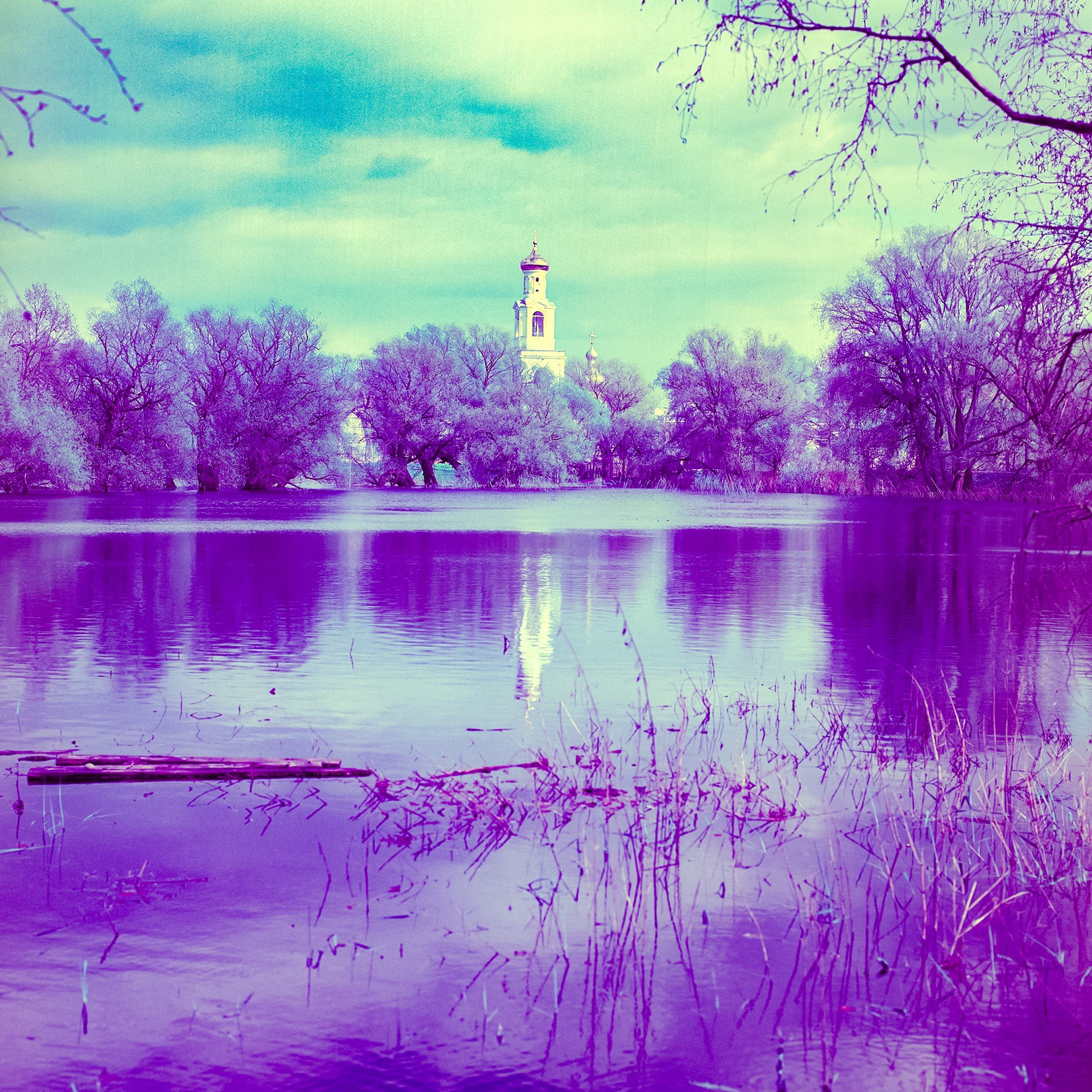 Veliky Novgorod, Novgorod Oblast. 2024