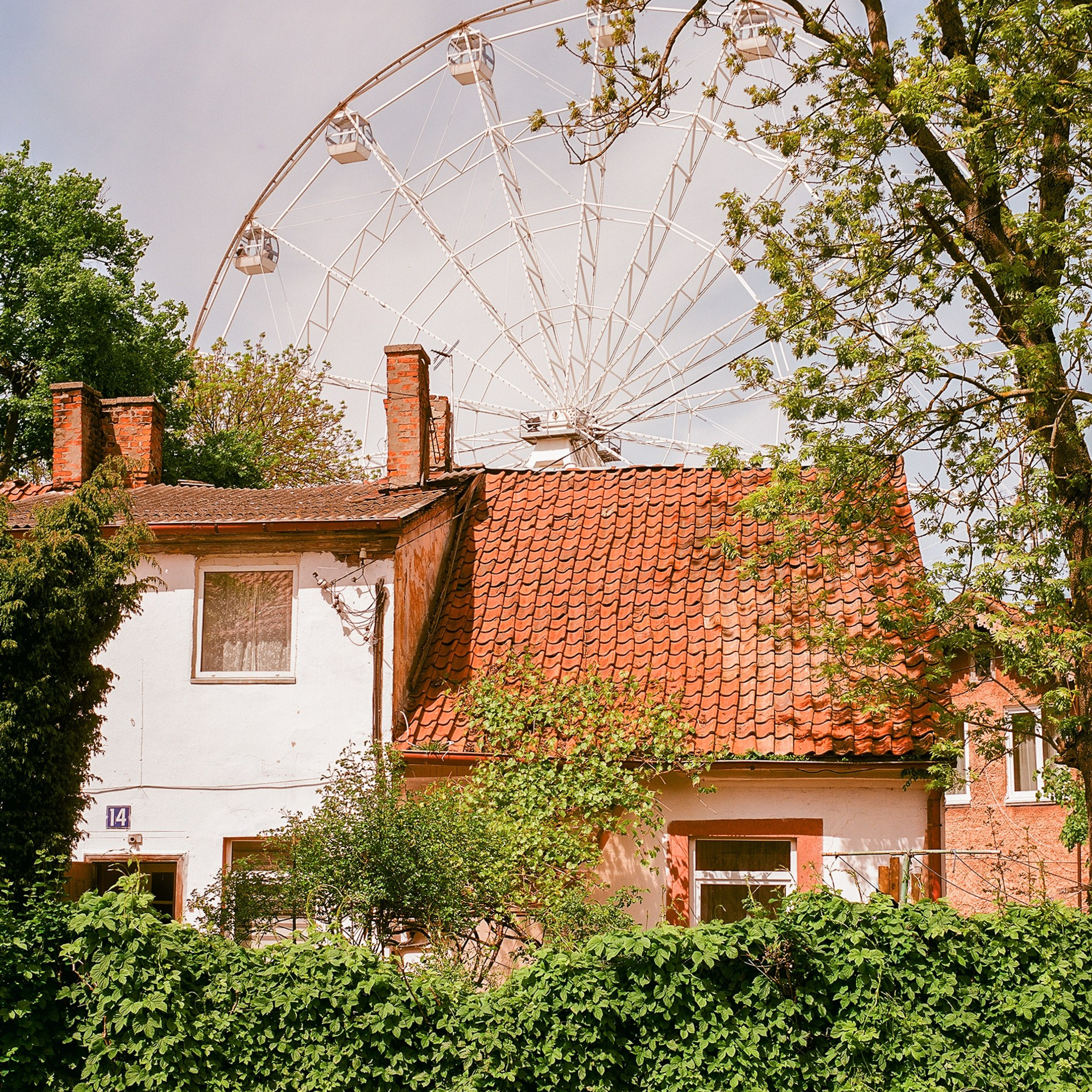 Zelenogradsk, Kaliningrad Oblast. 2024