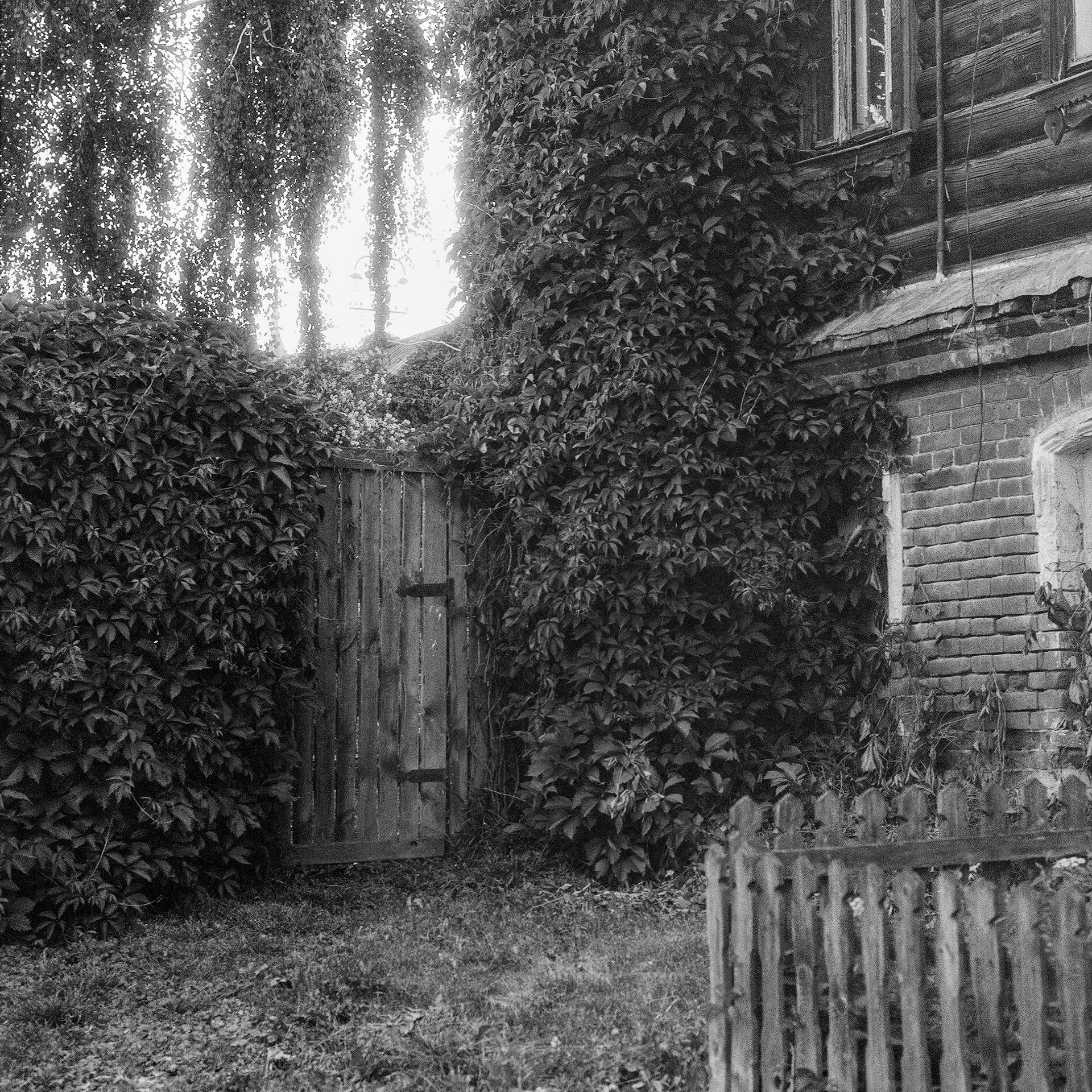 Kolomna, Moscow Oblast. 2024