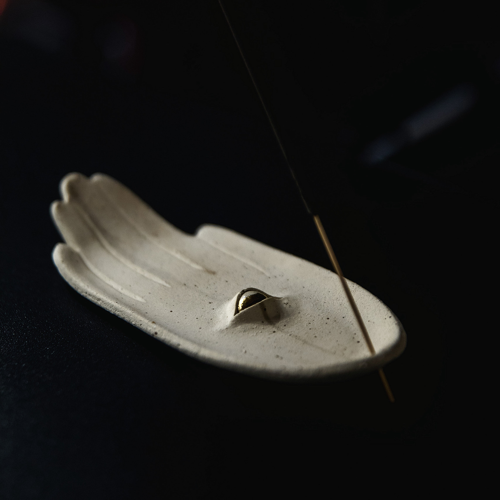 Отзывы. Свадебный фотограф Дарья Свет