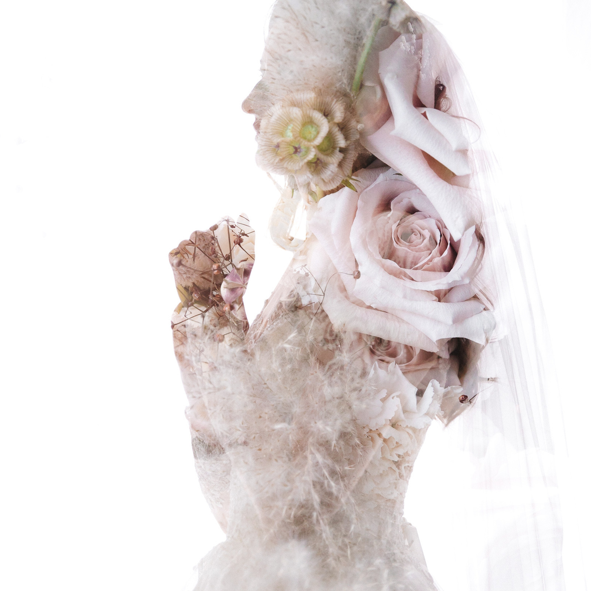 Воздушная любовь. Главная