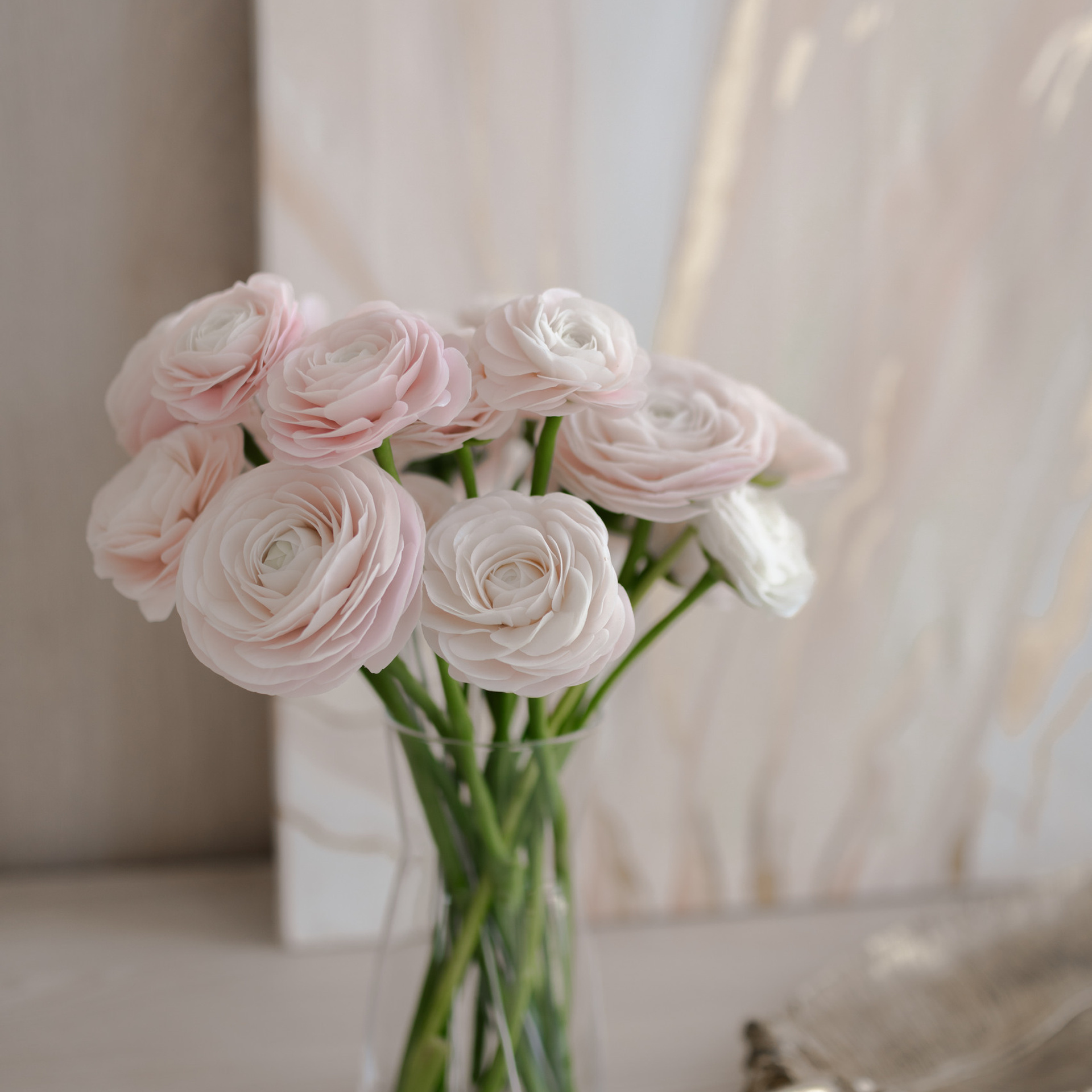 Отзывы. Портретный фотограф в городе Москва — Деляна Мур