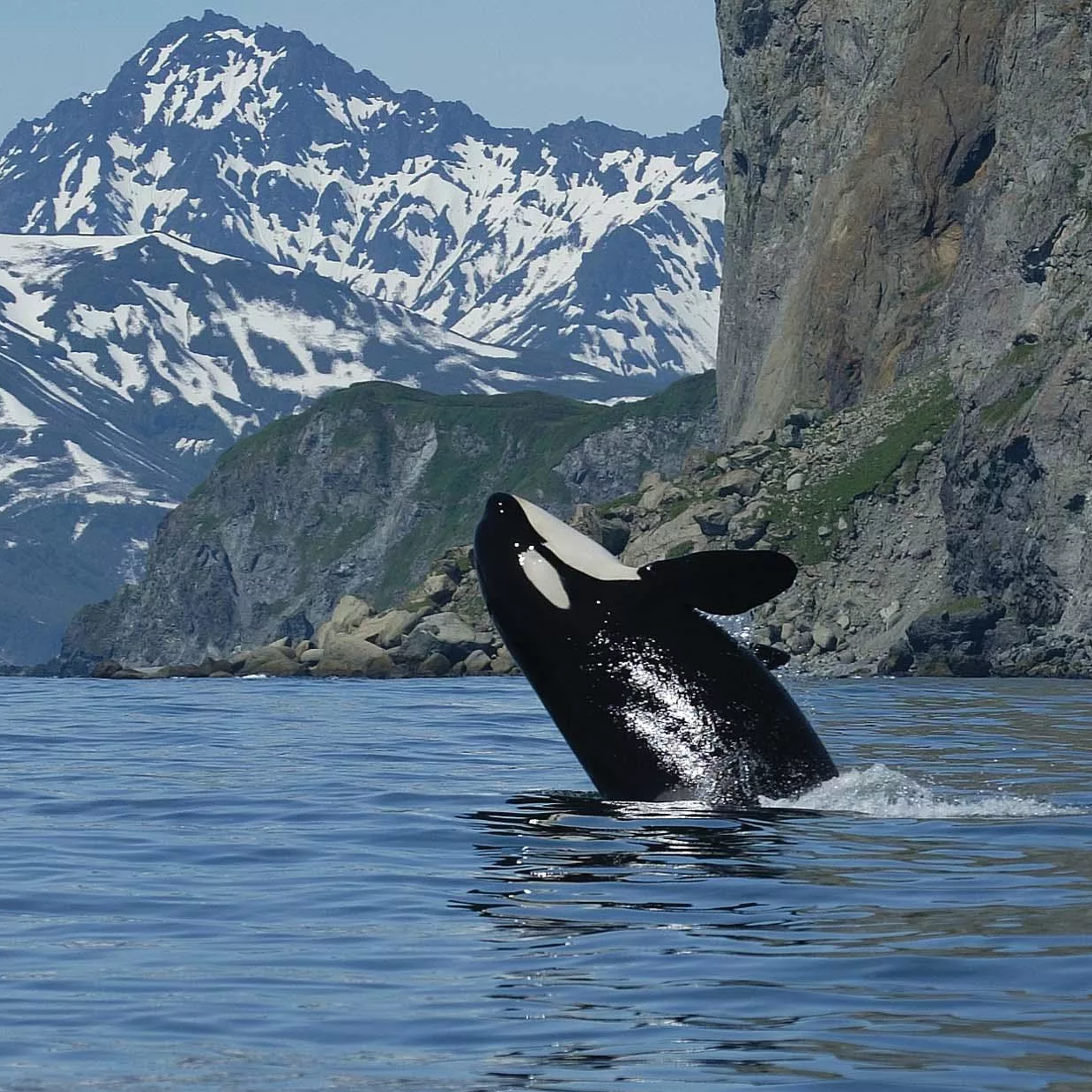 Камчатка | лето — осень