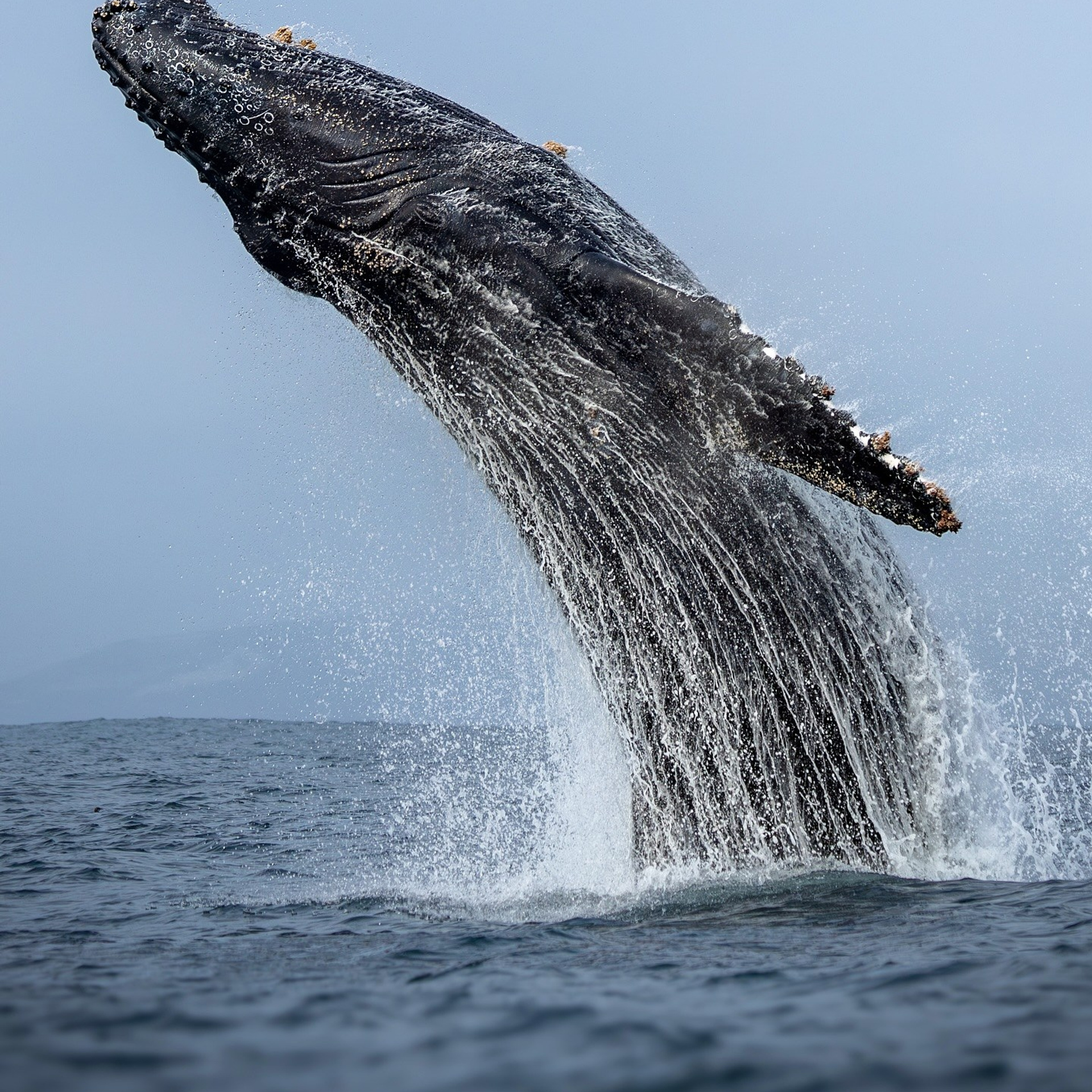 Камчатка | лето — осень