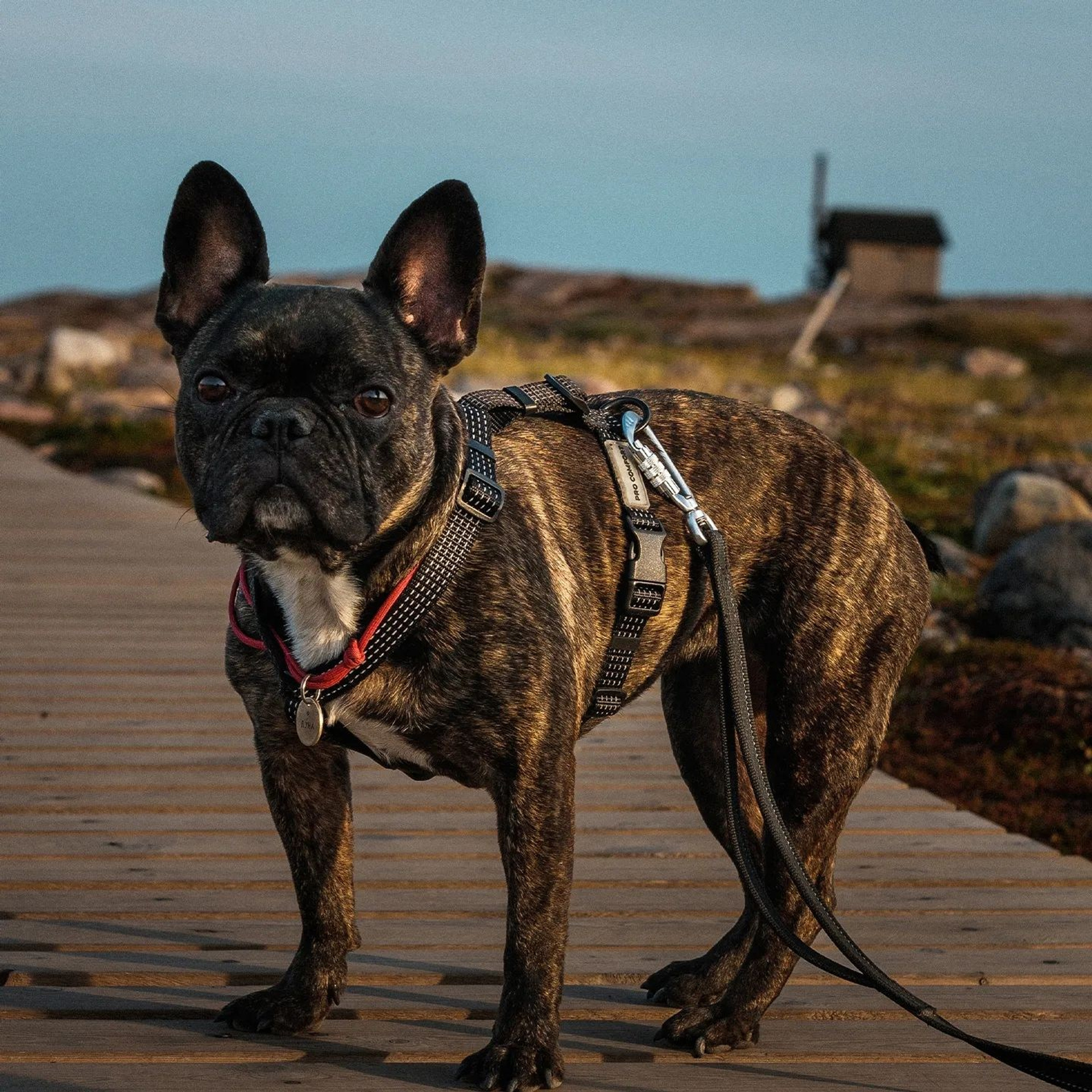 Мурманск | весна