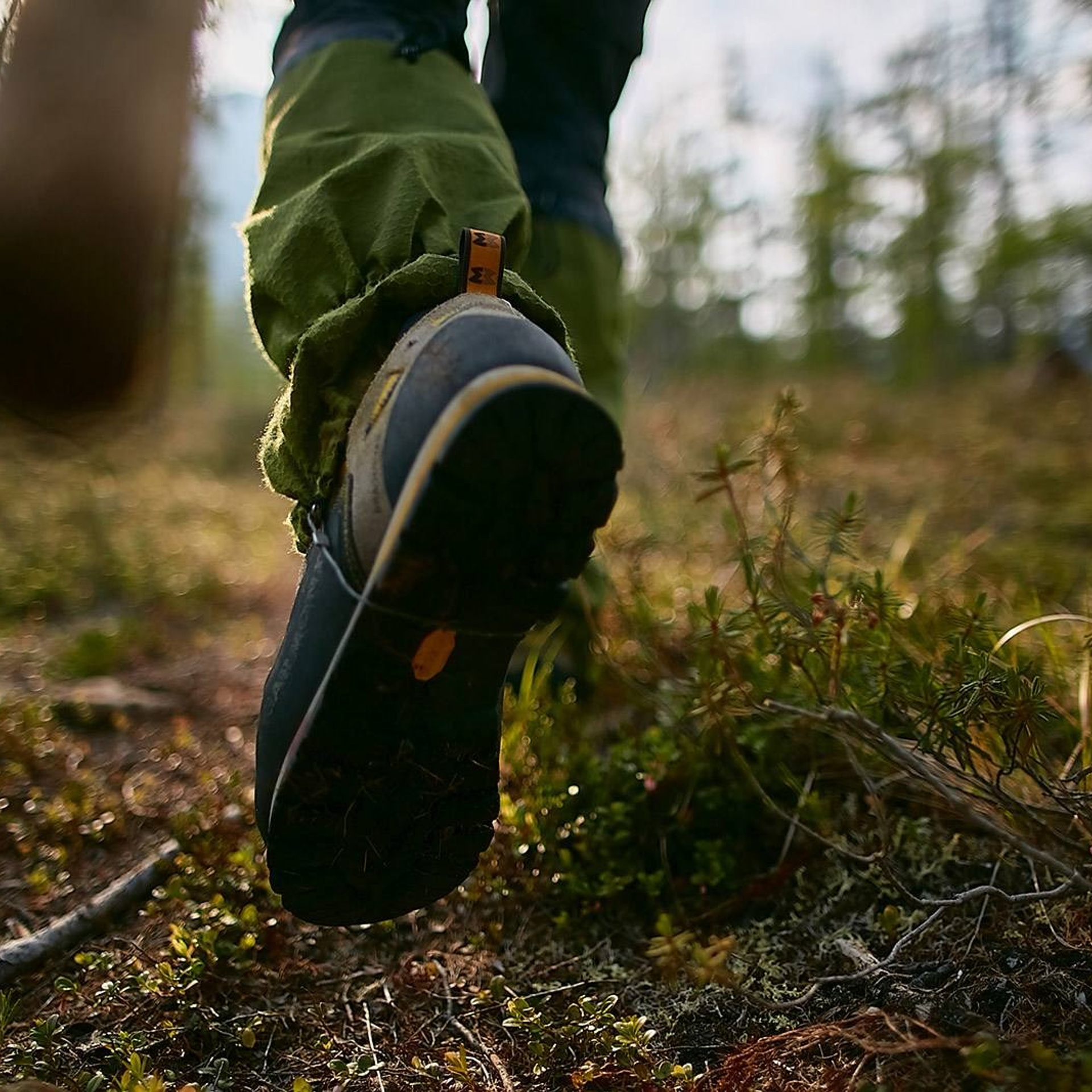 Тур на плато Путорана 2026 —  проживание в панорамных домиках
