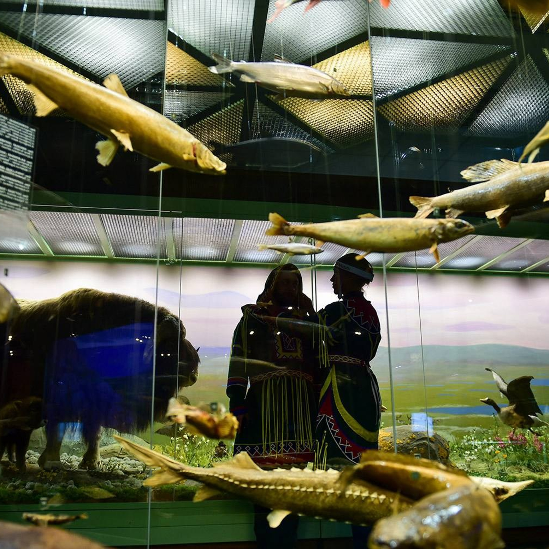 Тур на плато Путорана 2026 —  проживание в панорамных домиках