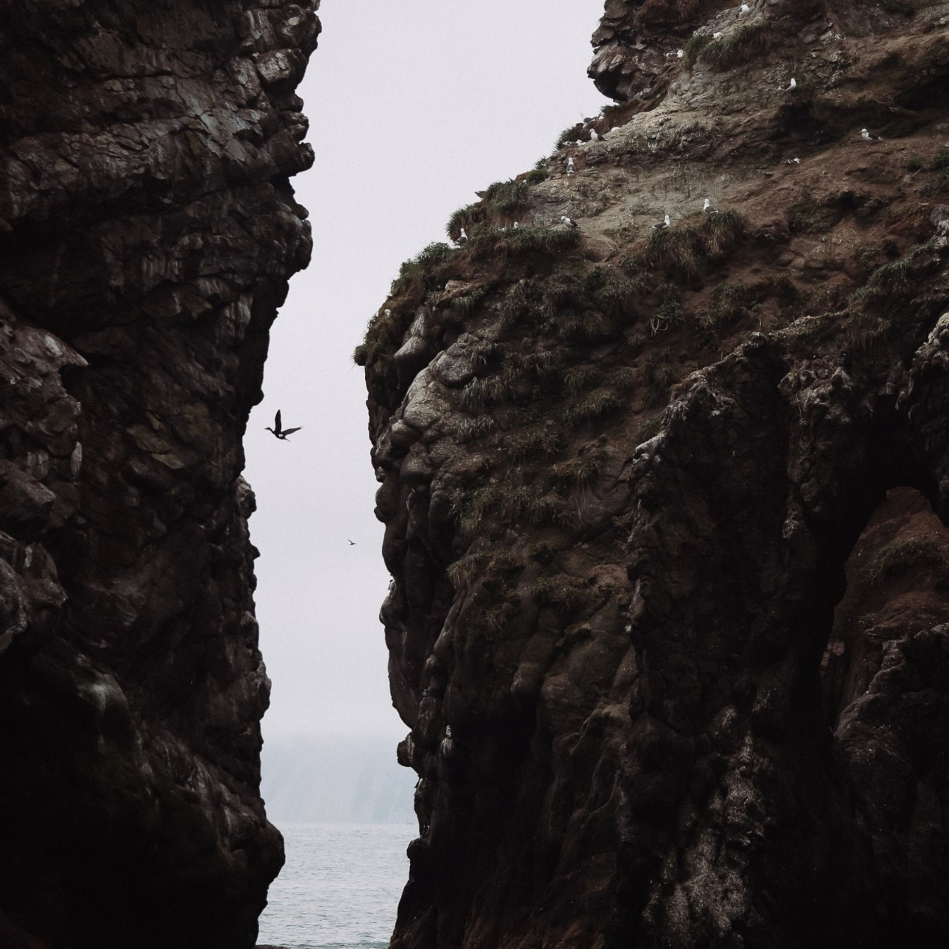 Камчатка с комфортом —  Cезон 2026