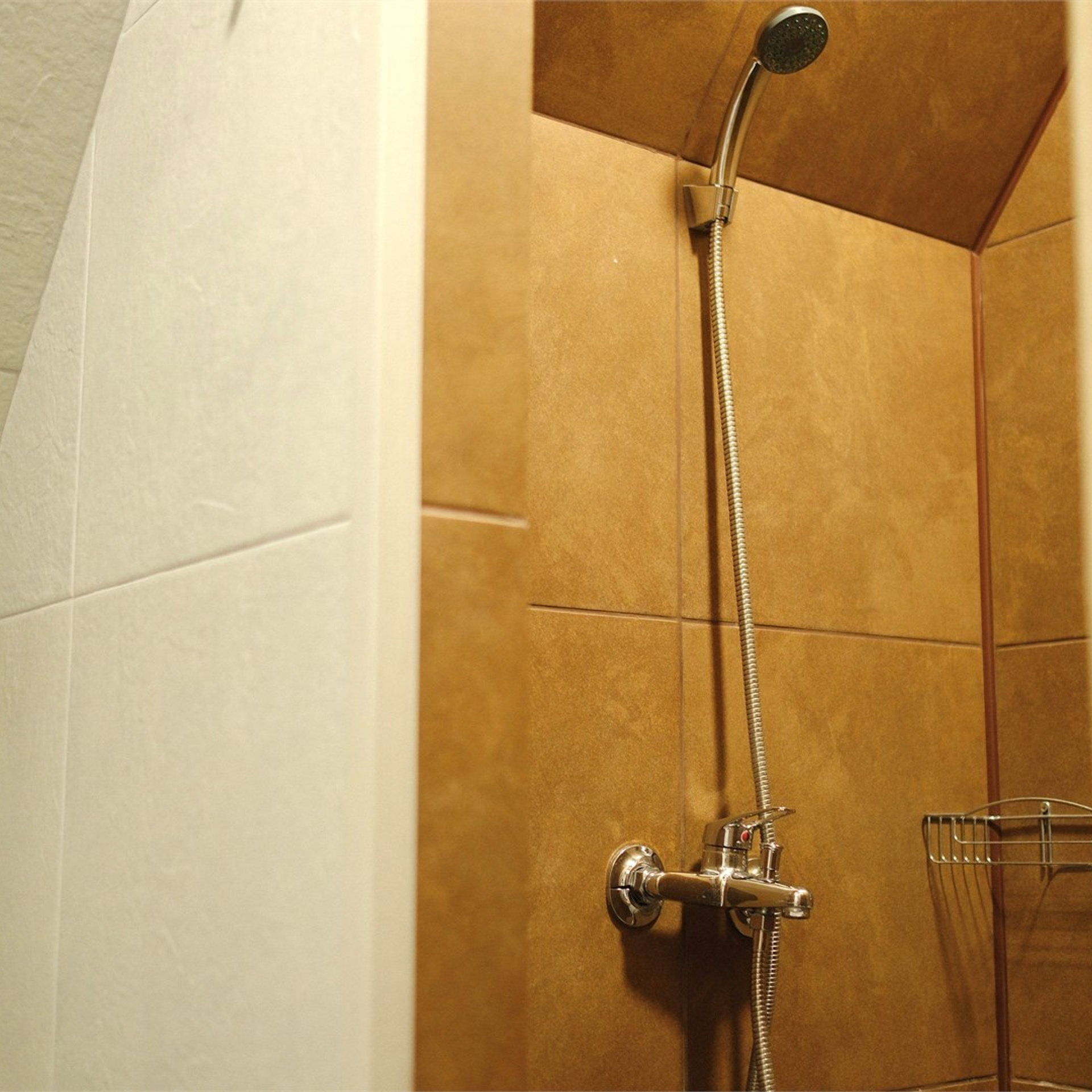 Тур на Алтай —  с комфортом летом