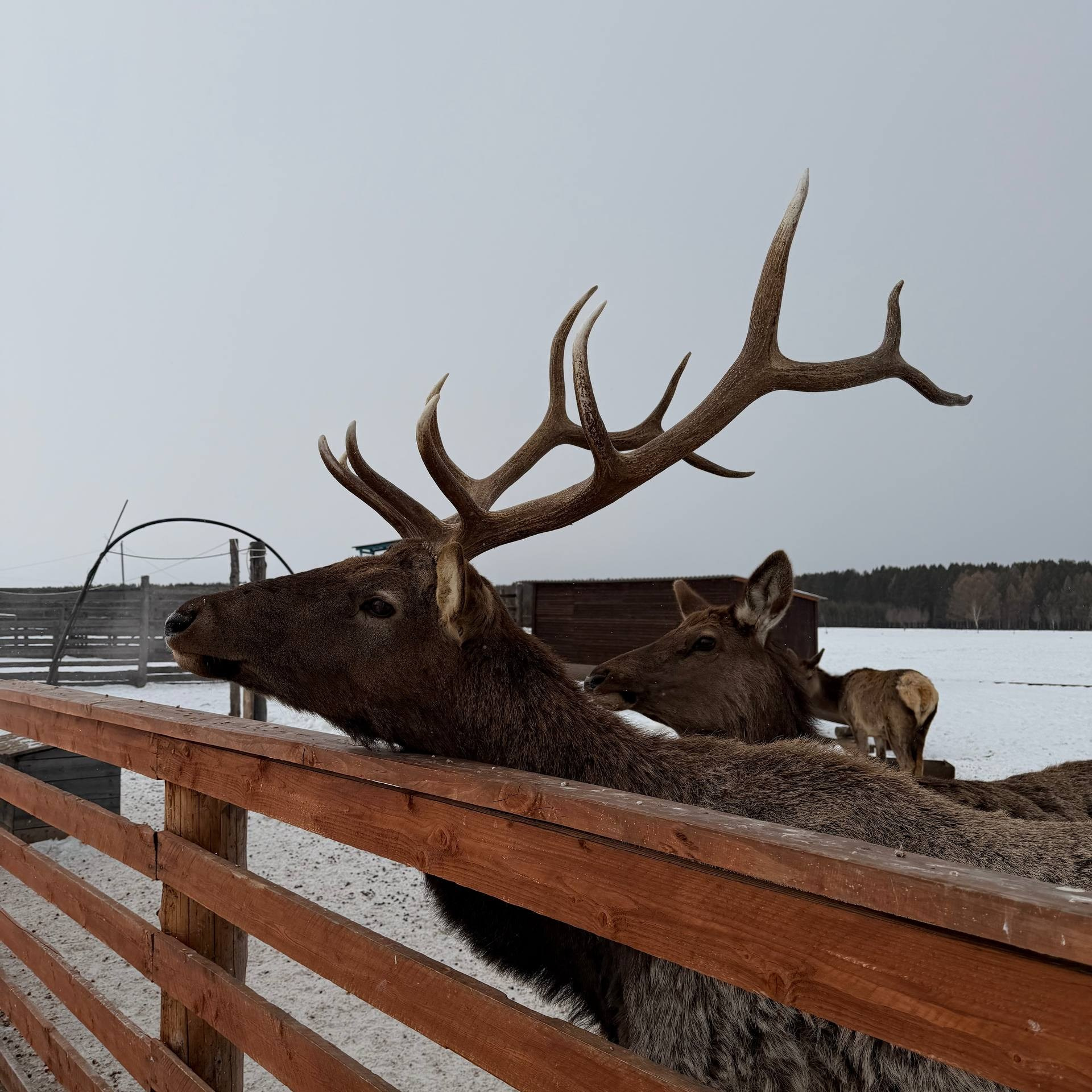 Байкал | зима 2027