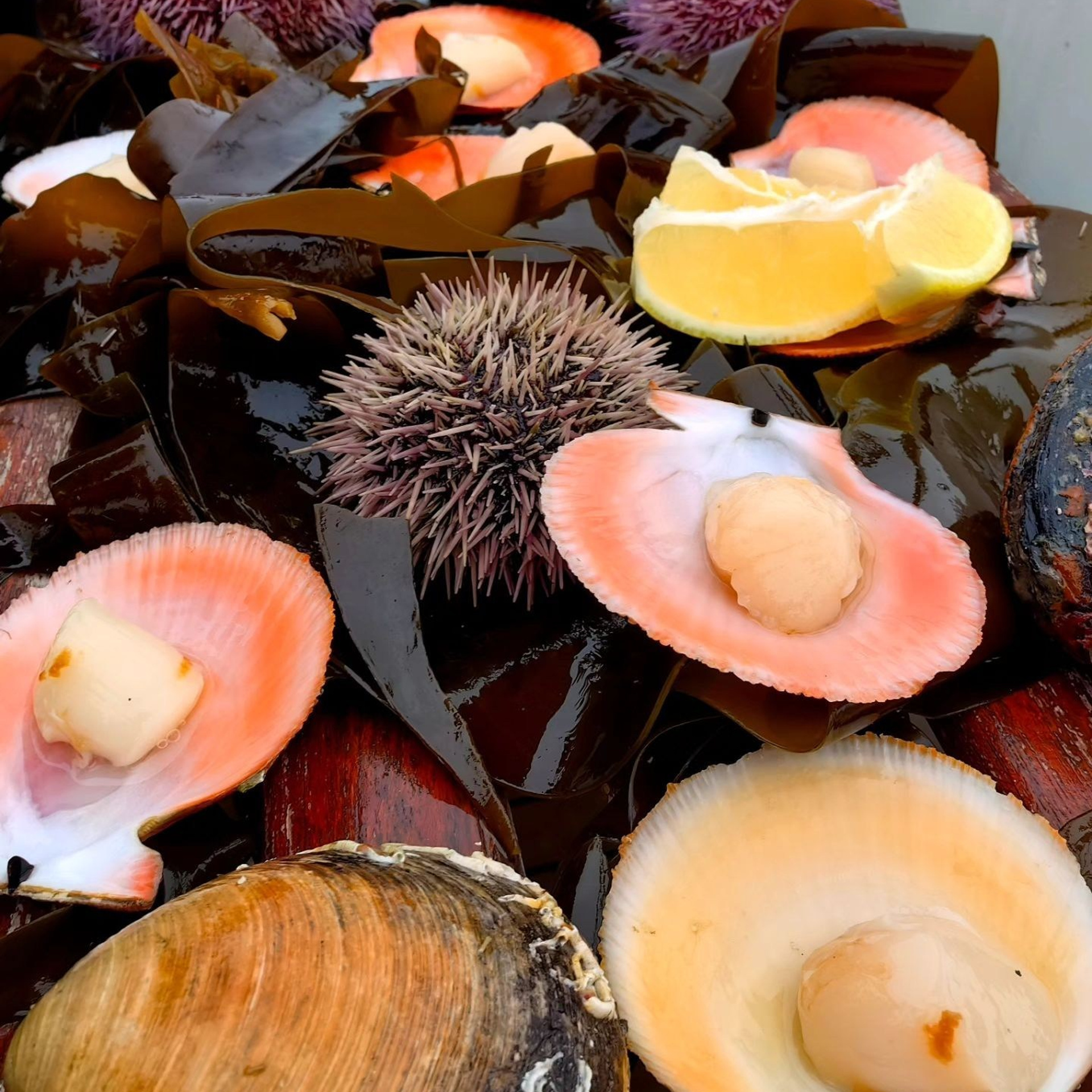 Тур в Мурманск лето 2026 — Двойные шансы встретить китов