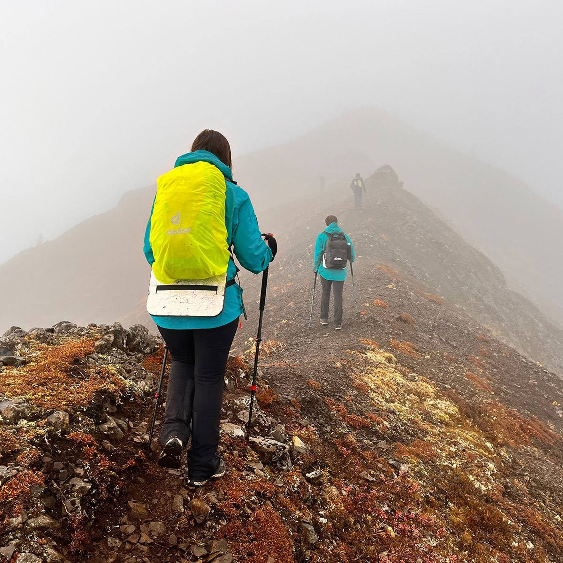 Тур на плато Путорана 2026 —  проживание в панорамных домиках