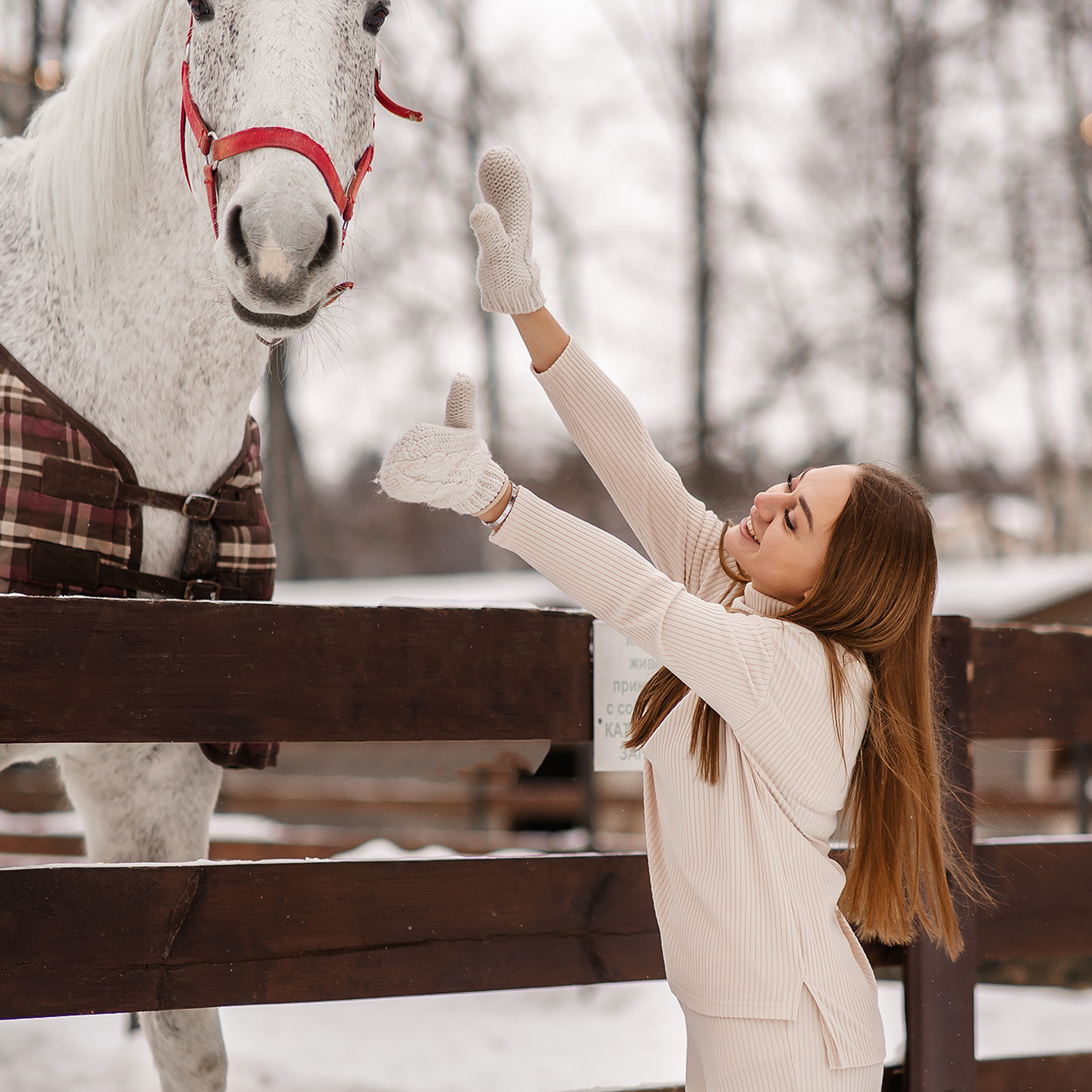 Зимняя ферма
